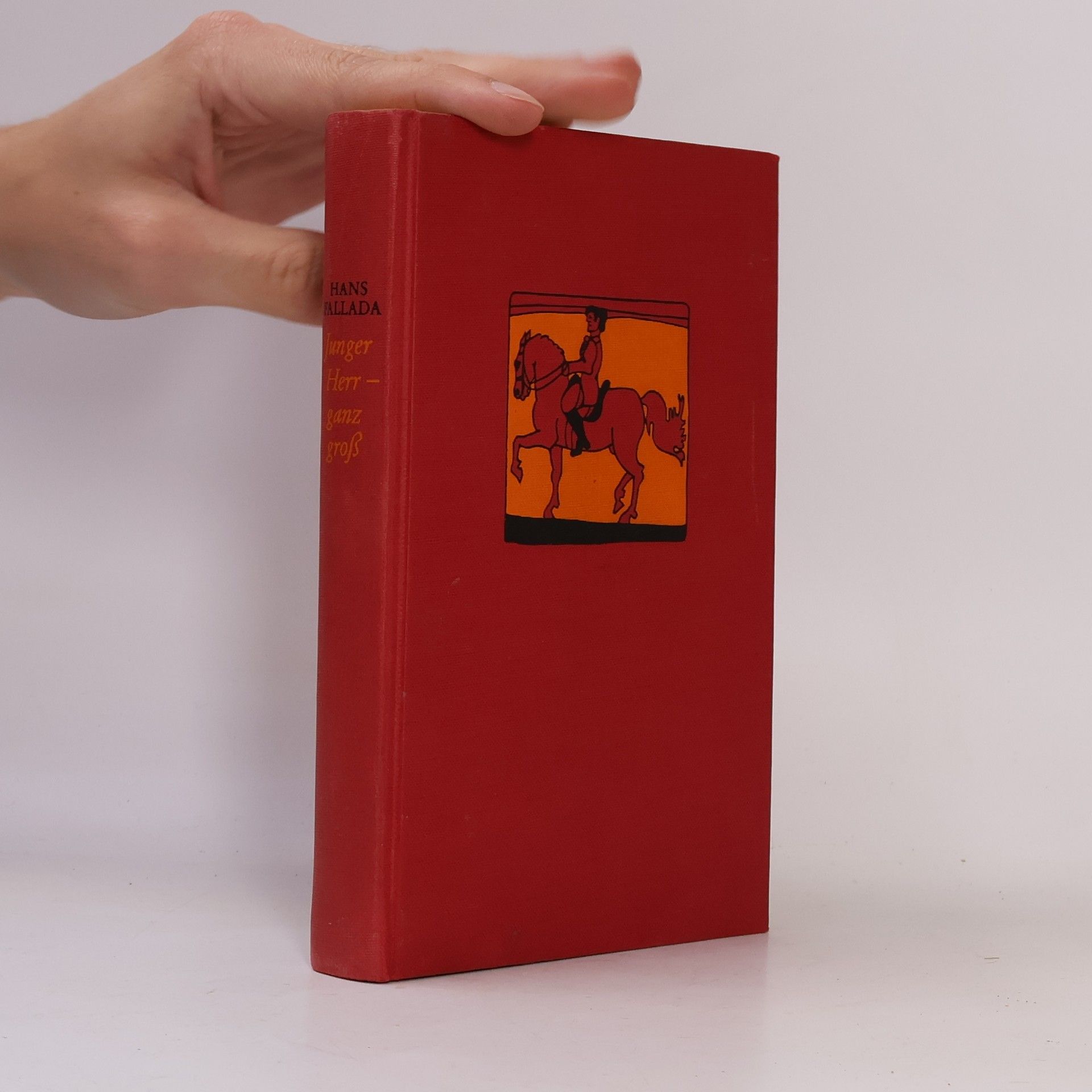 Hans Fallada Junger Herr - ganz groß
