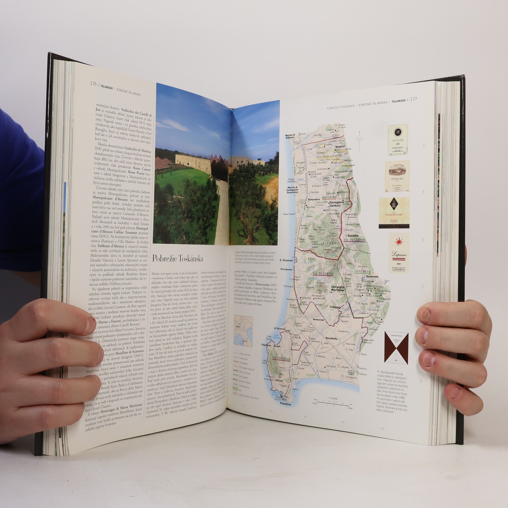 Hugh Johnson Svetový atlas vína