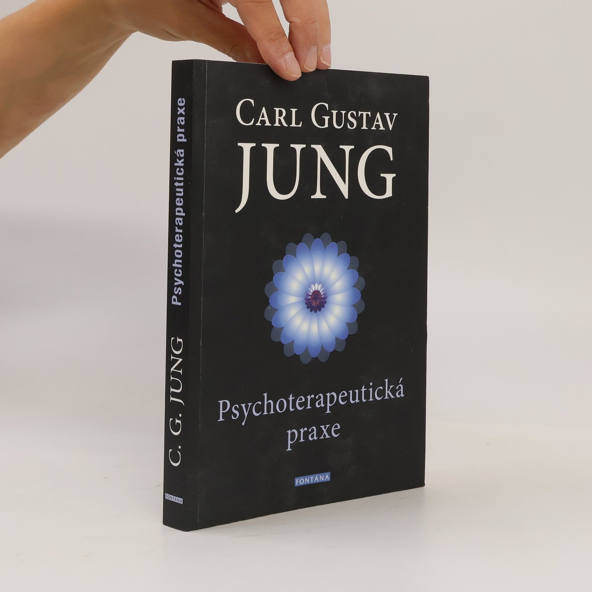 Carl Gustav Jung Psychoterapeutická praxe : příspěvky k problému psychoterapie a psychologie přenosu