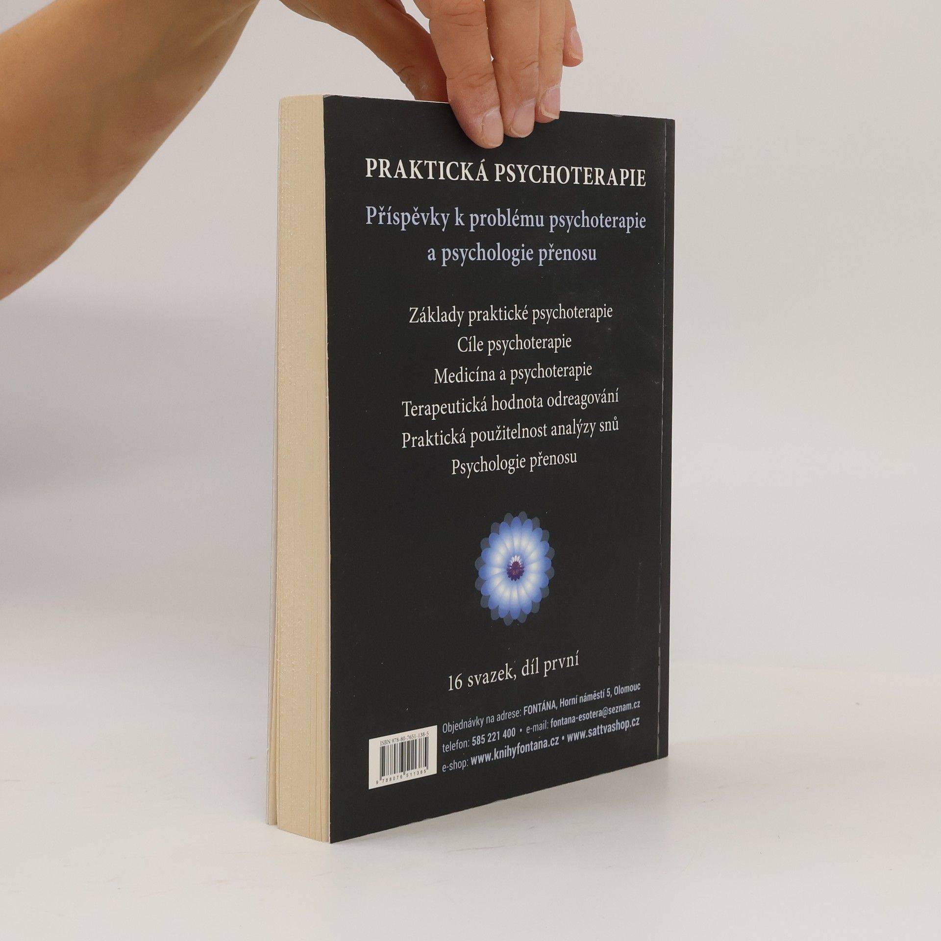 Carl Gustav Jung Psychoterapeutická praxe : příspěvky k problému psychoterapie a psychologie přenosu