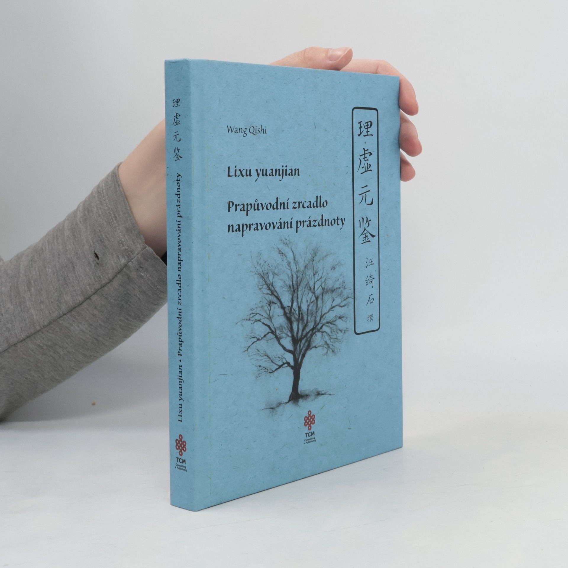 Qishi Wang Prapůvodní zrcadlo napravování prázdnoty