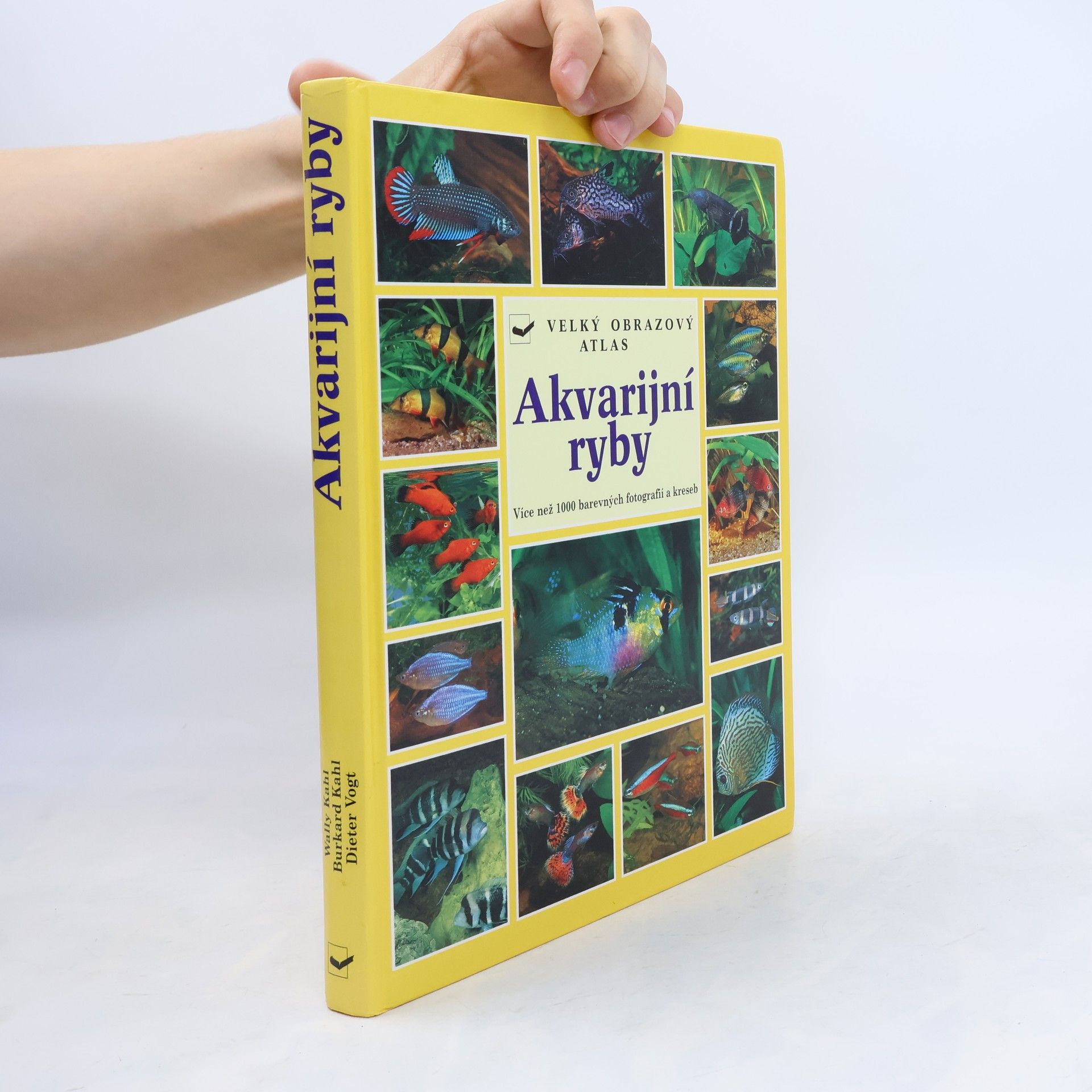 Autorenkollektiv Akvarijní ryby
