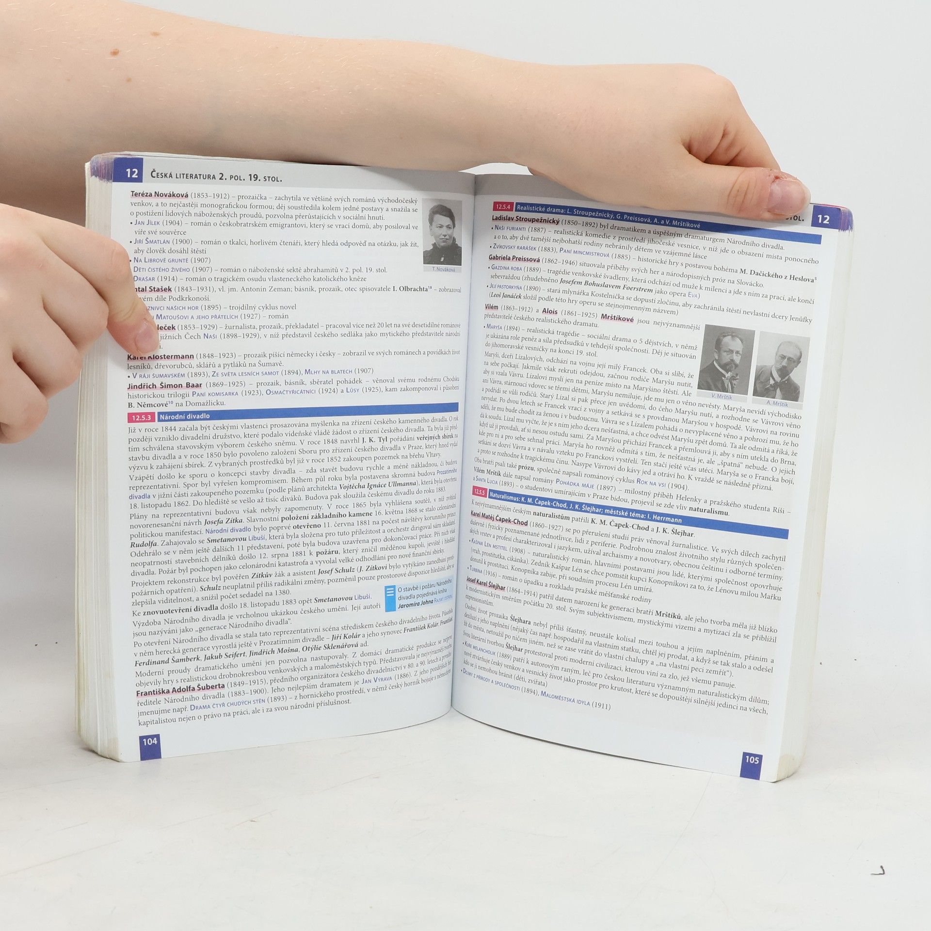 Taťána Polášková Literatura: Přehled středoškolského učiva