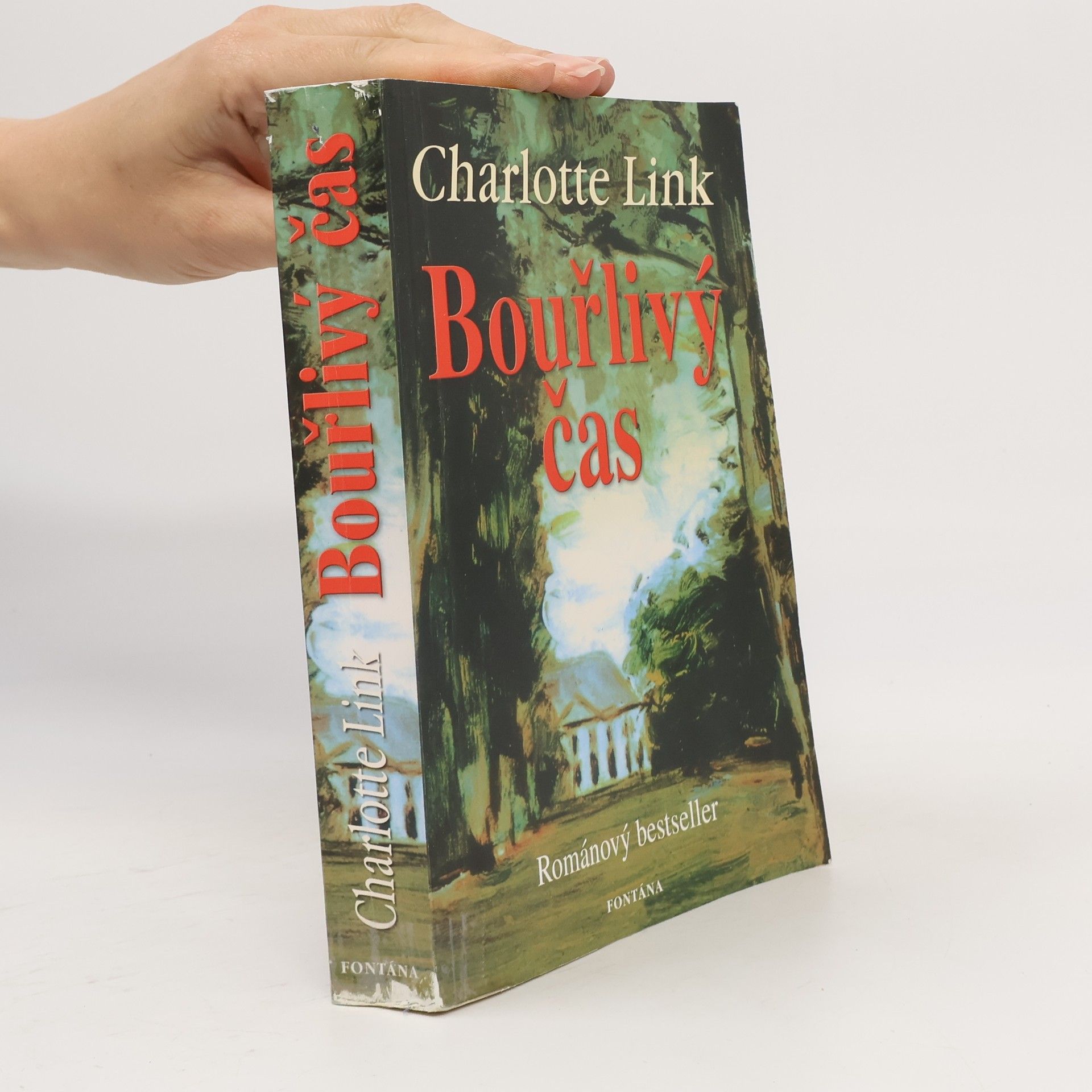 Charlotte Link Bouřlivý čas