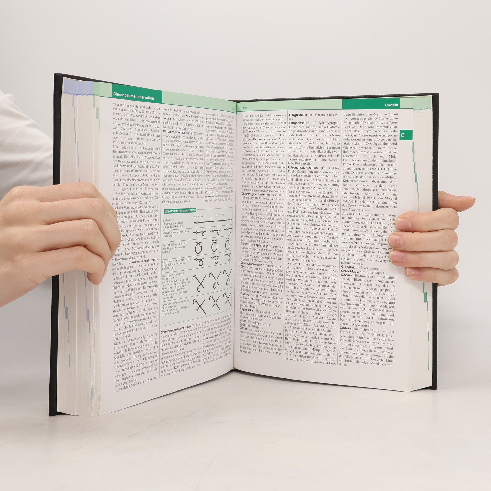 Various authors Brockhaus Themenwissen: Physik M-Z, Chemie, Biologie