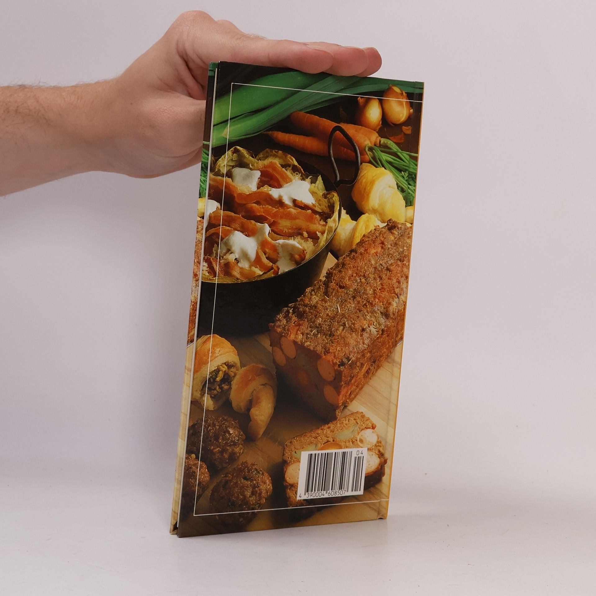 Kolektiv autorů Vielseitige Hackfleisch-Küche