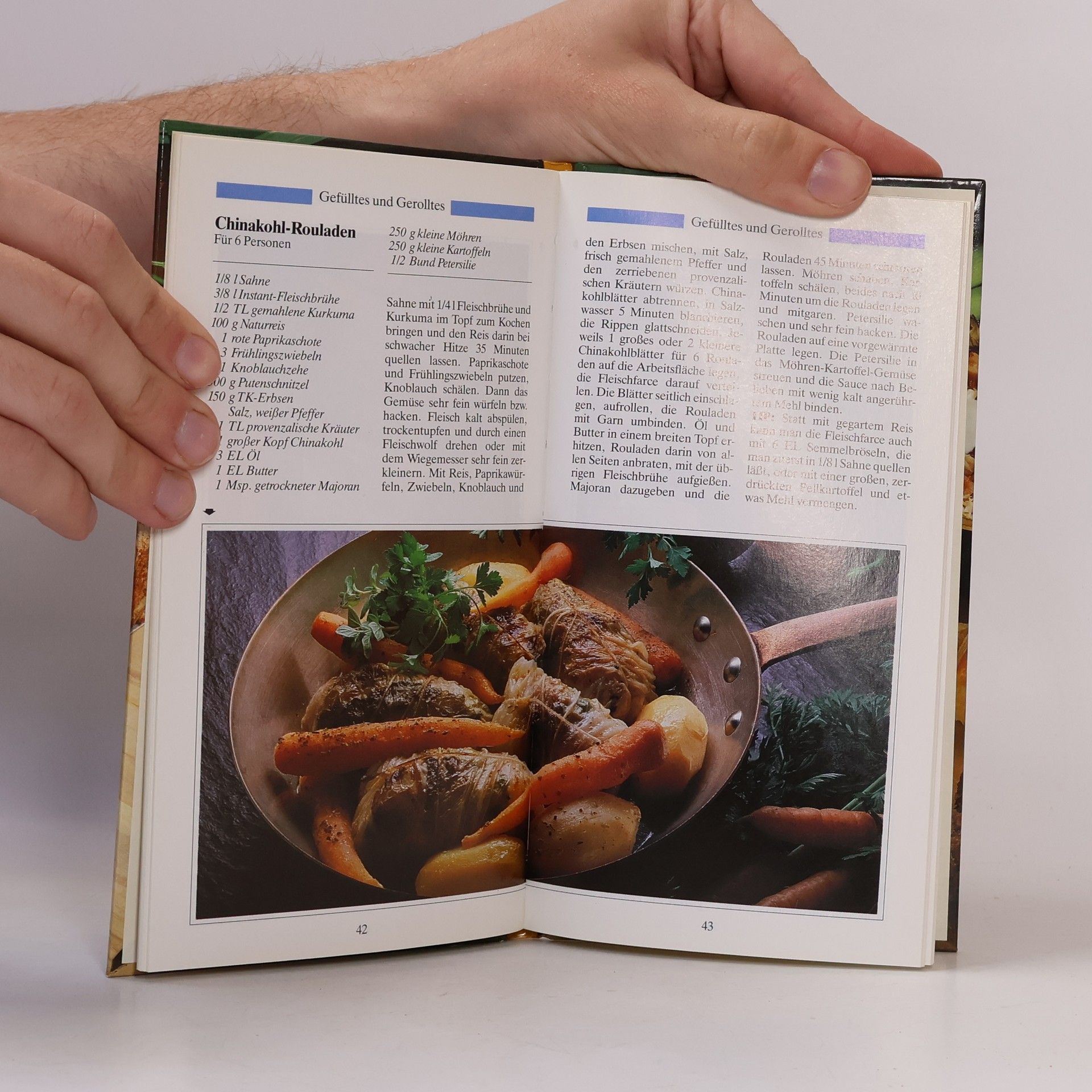 Kolektiv autorů Vielseitige Hackfleisch-Küche