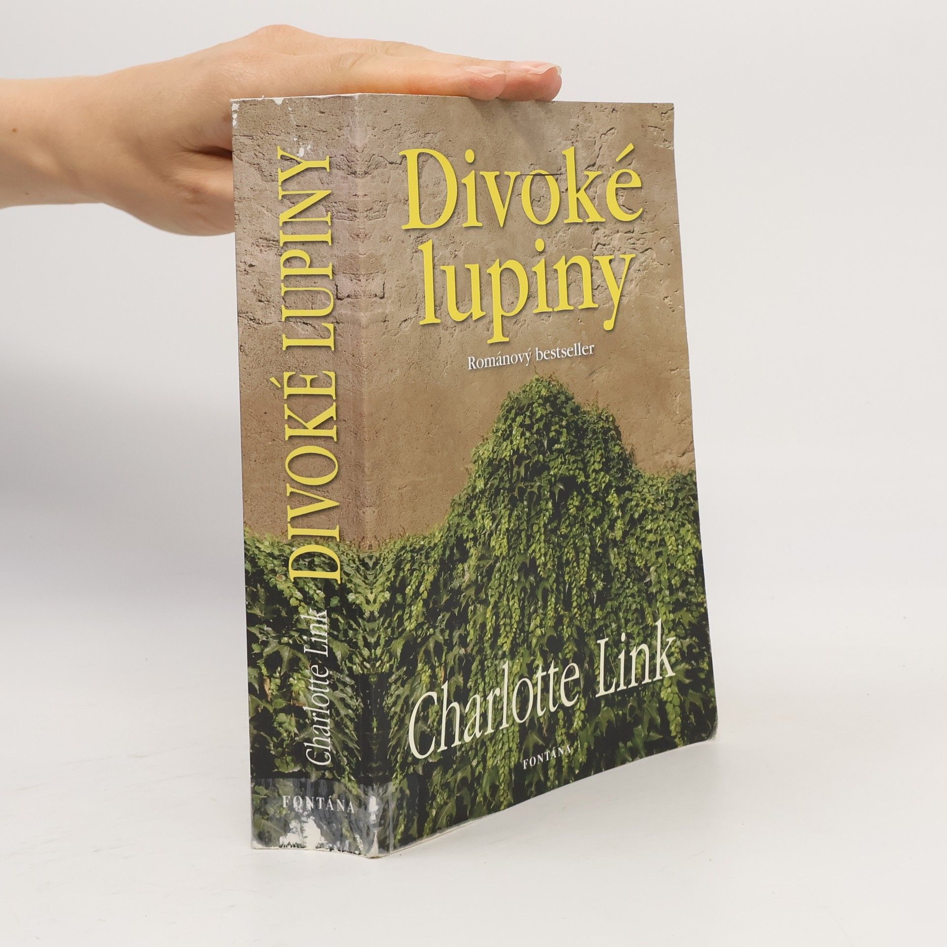 Charlotte Link Divoké lupiny