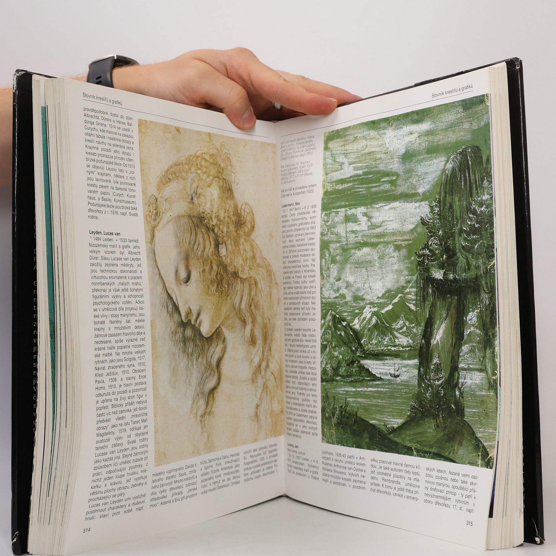 Collectif d'auteurs Slovník světové kresby a grafiky