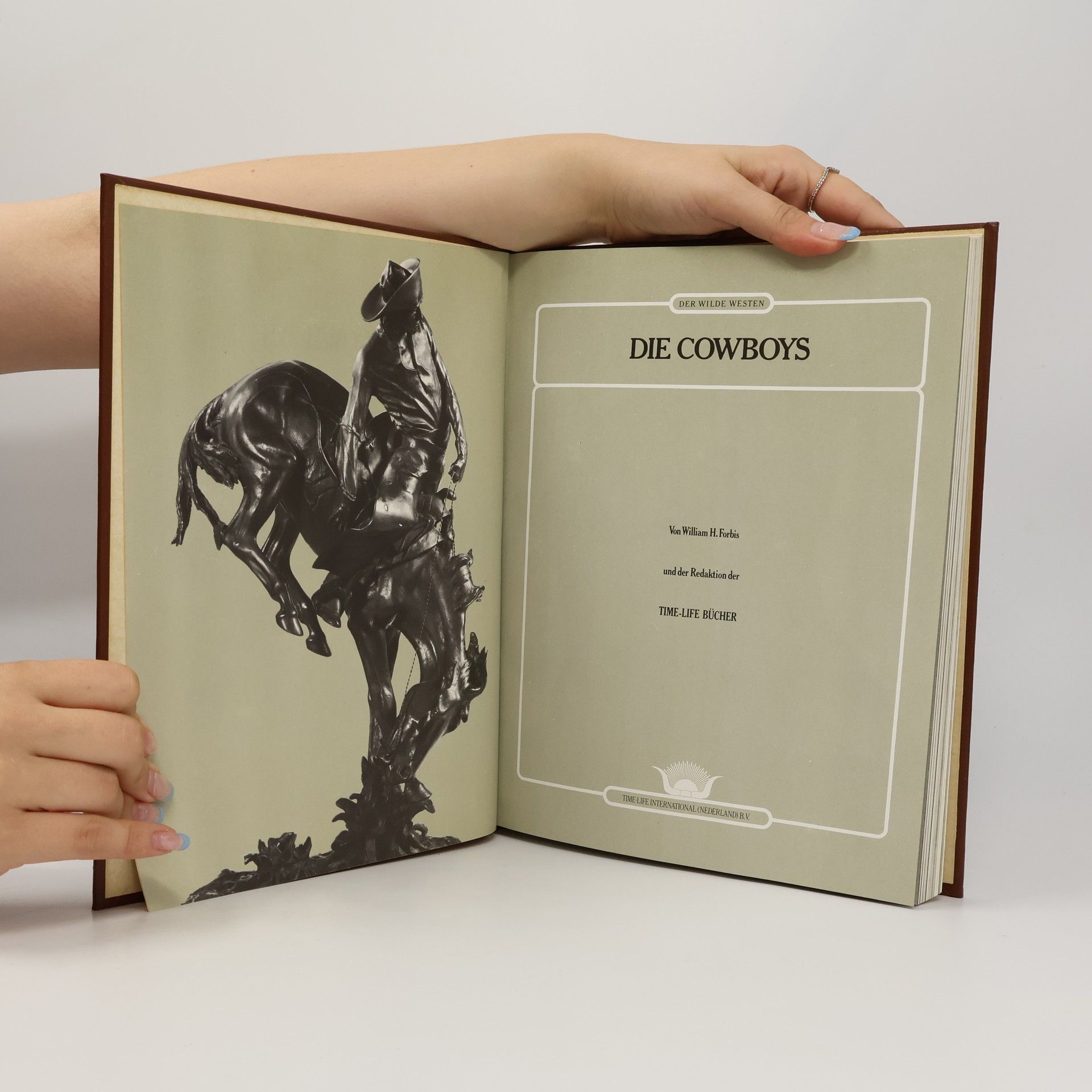 Kolektiv autorů Die Cowboys