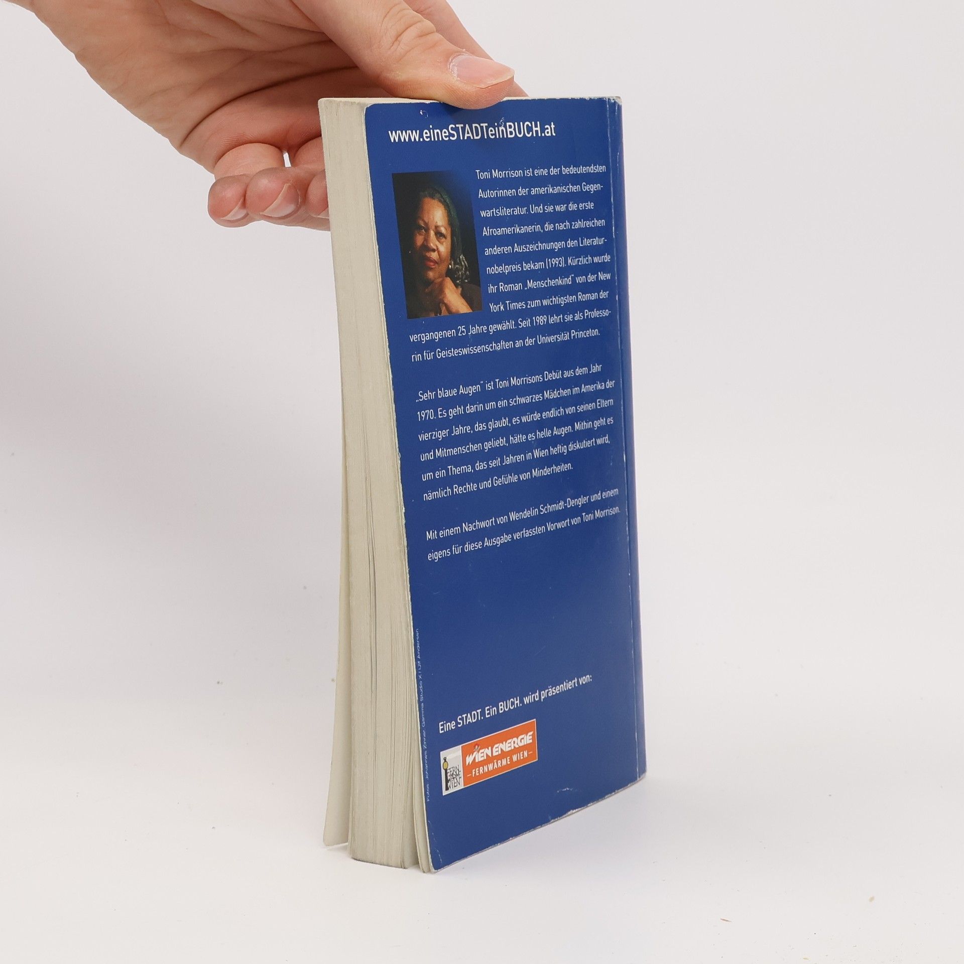 Toni Morrison Sehr blaue Augen