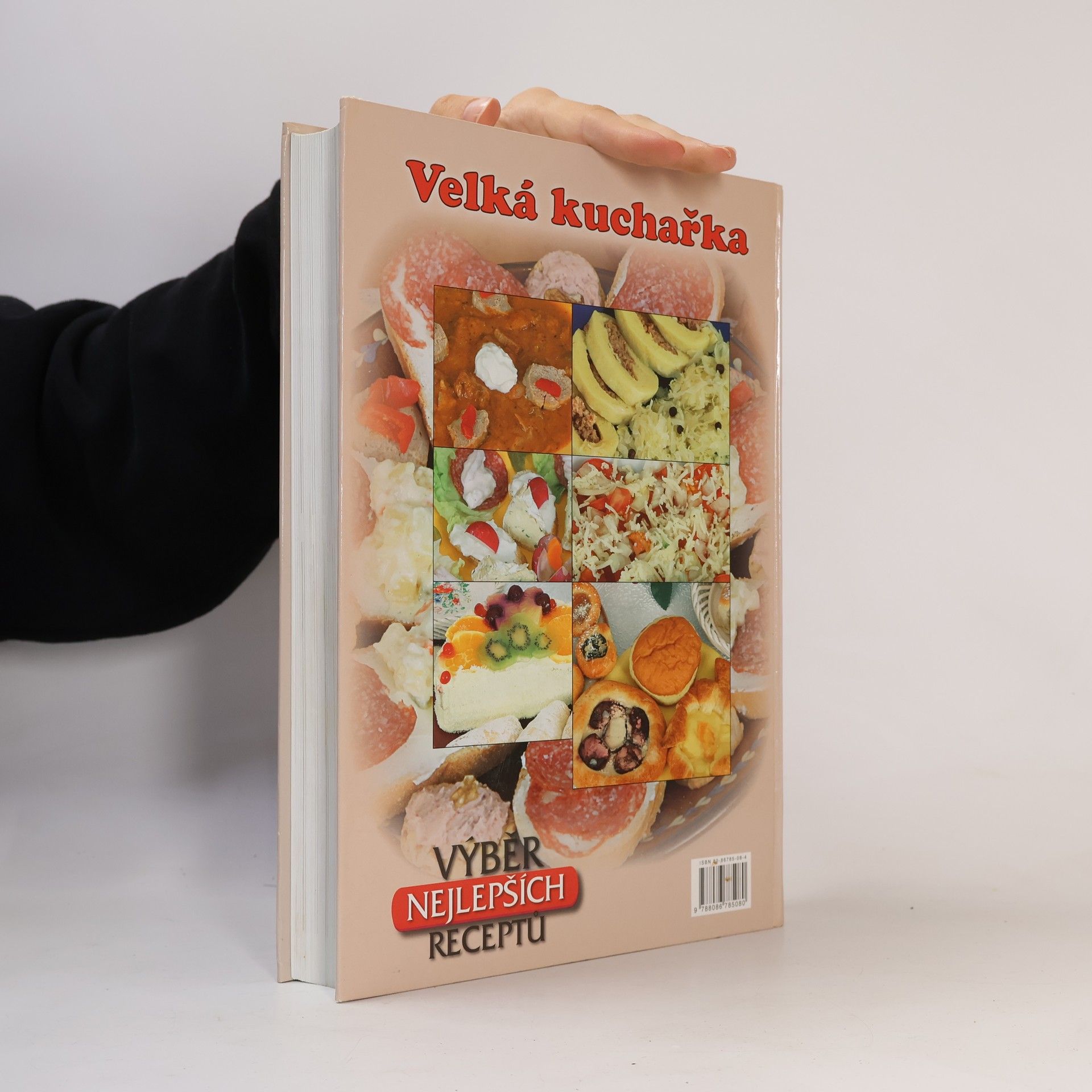 Zemanová Šárka Velká kuchařka. Výběr receptů z domácí i zahraniční kuchyně