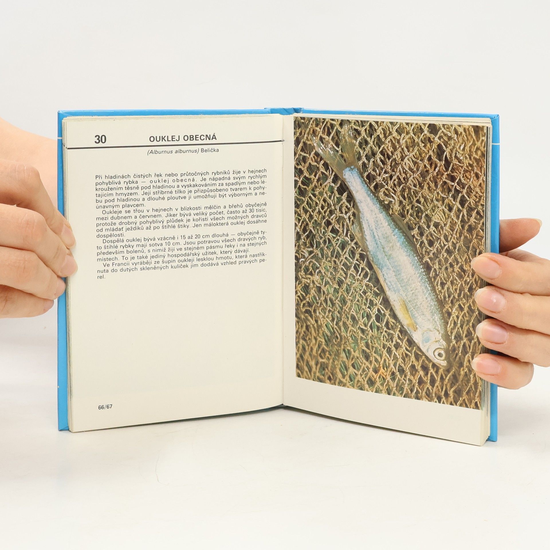 Otakar Štěpánek Kapesní atlas ryb, obojživelníků a plazů