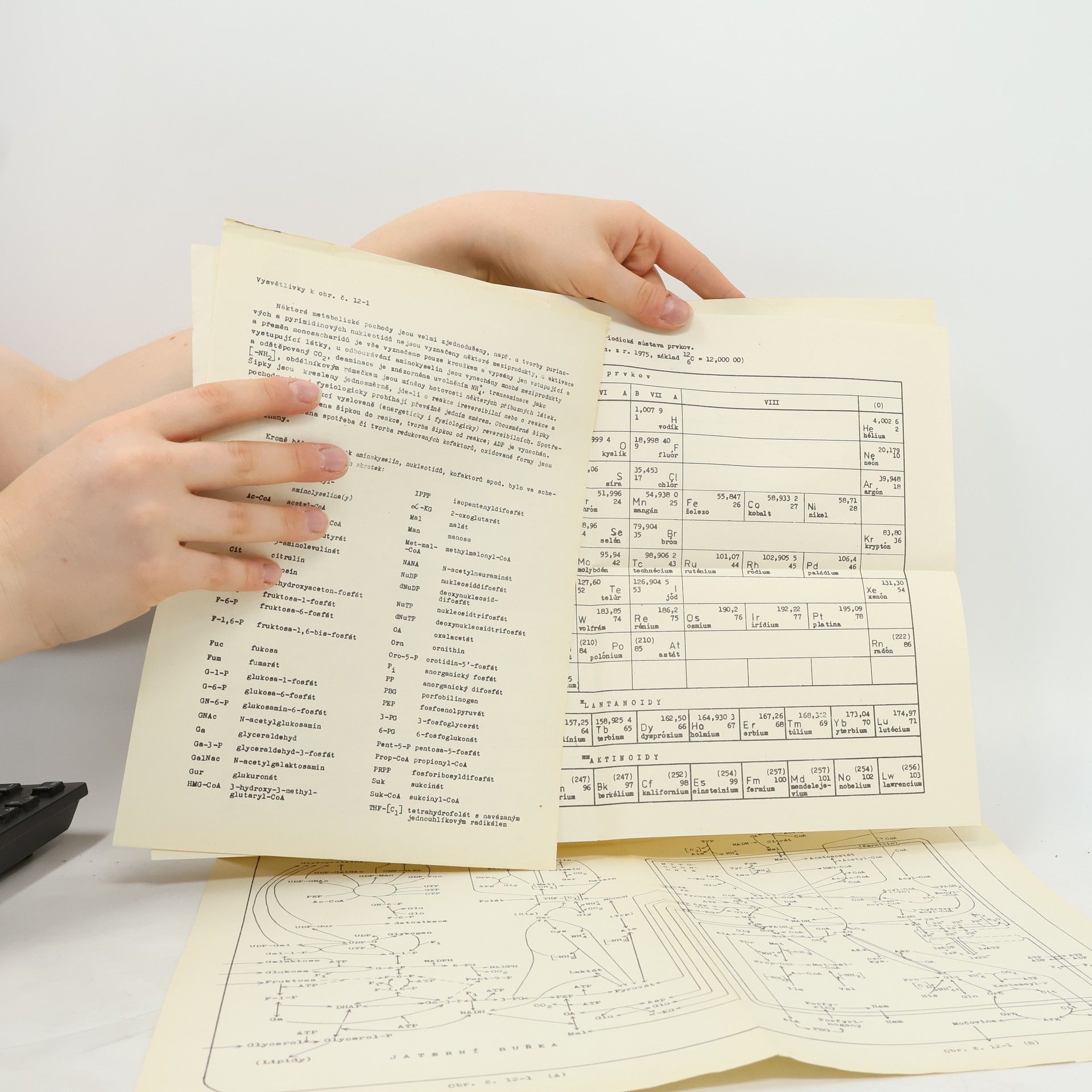 Jiří Duchoň Přehled lékařské chemie a biochemie 3