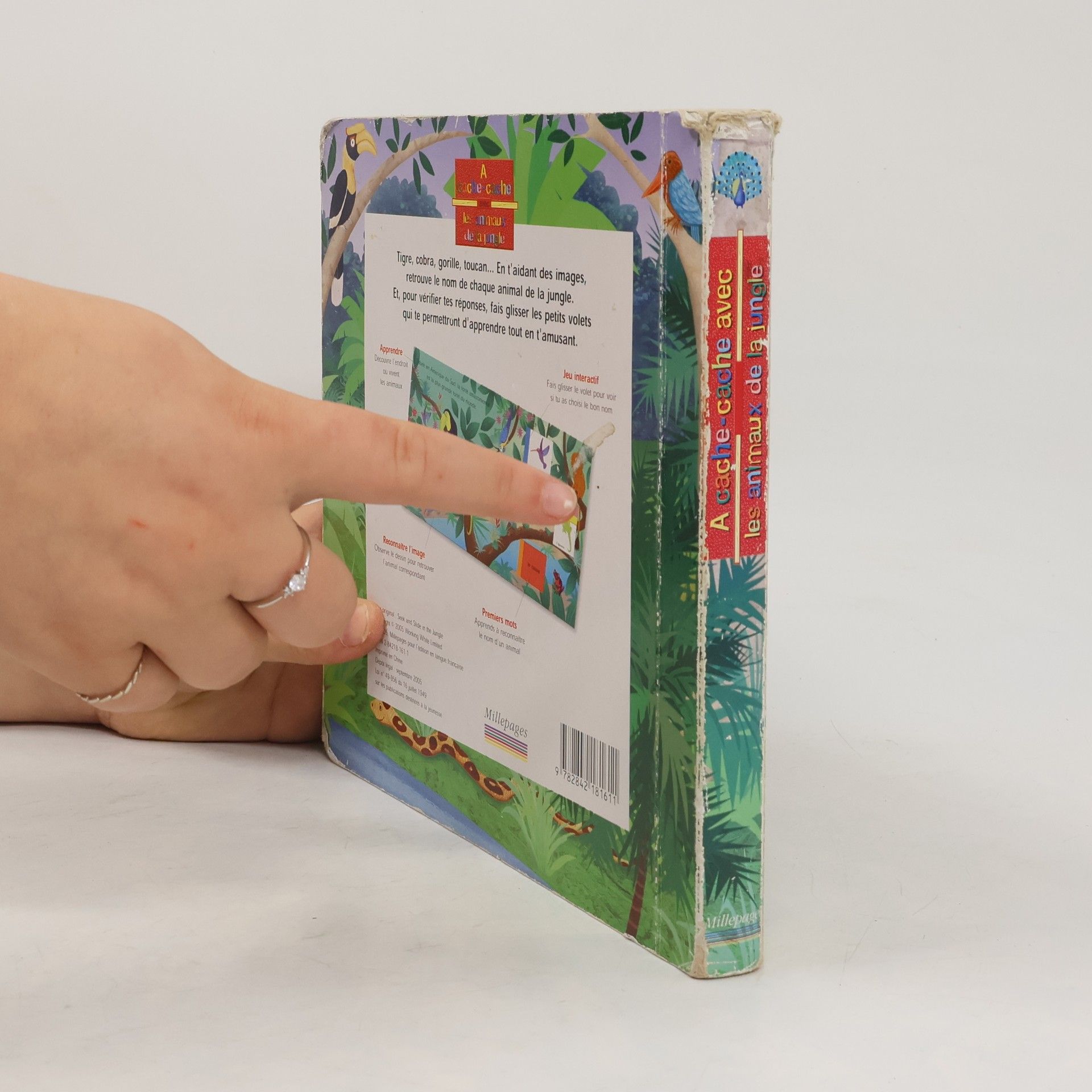 Autorenkollektiv A cache-cache avec les animaux de la jungle