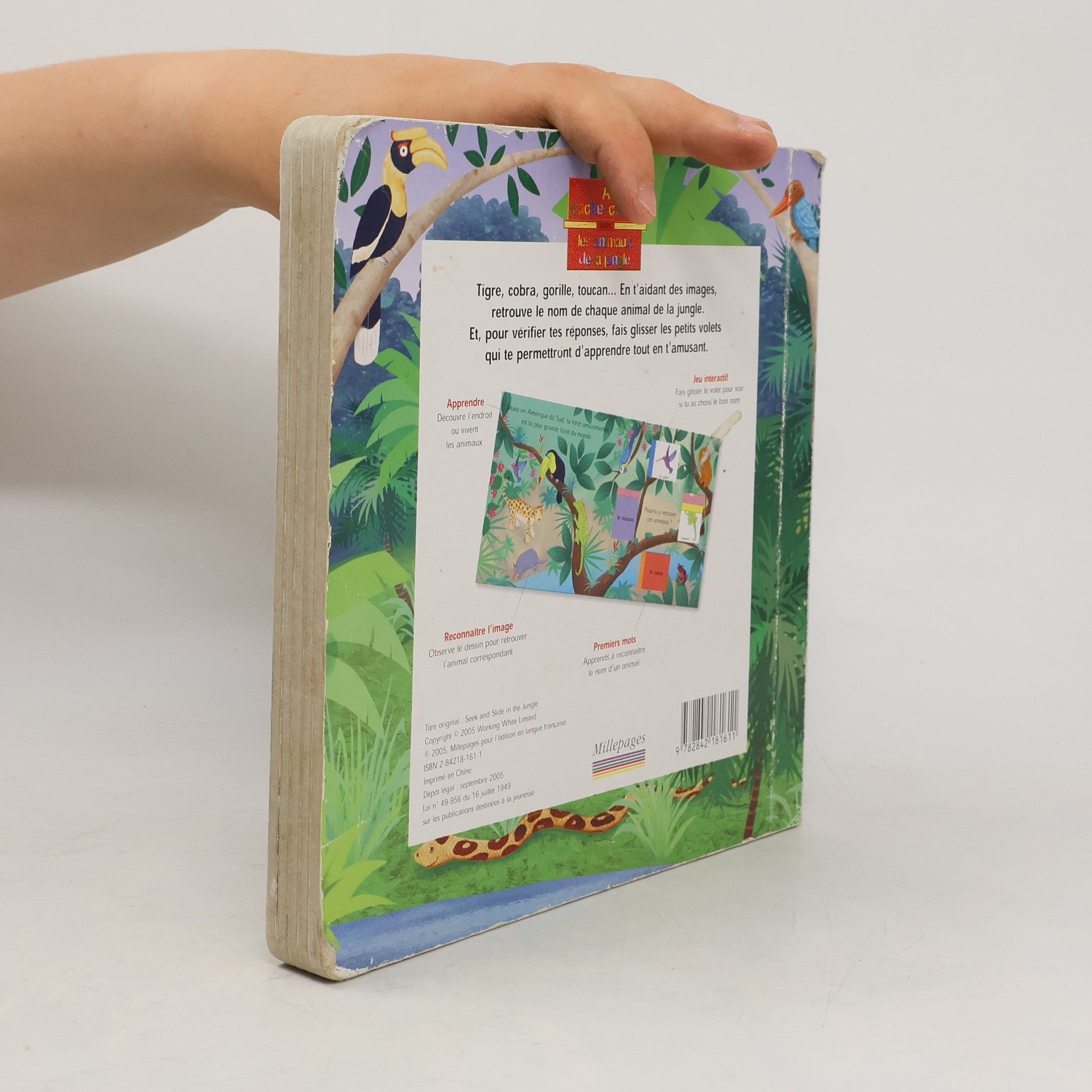 Autorenkollektiv A cache-cache avec les animaux de la jungle