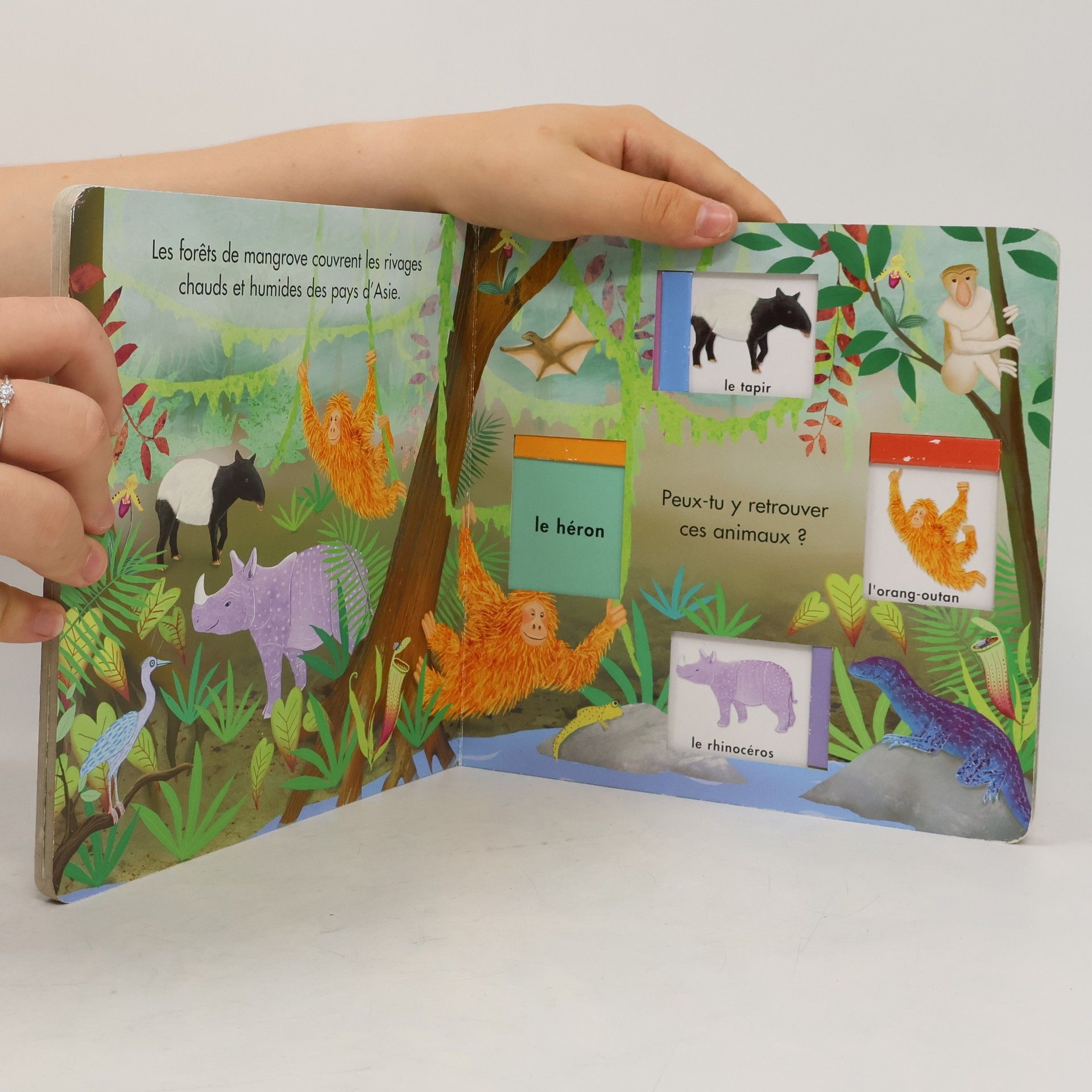 Autorenkollektiv A cache-cache avec les animaux de la jungle