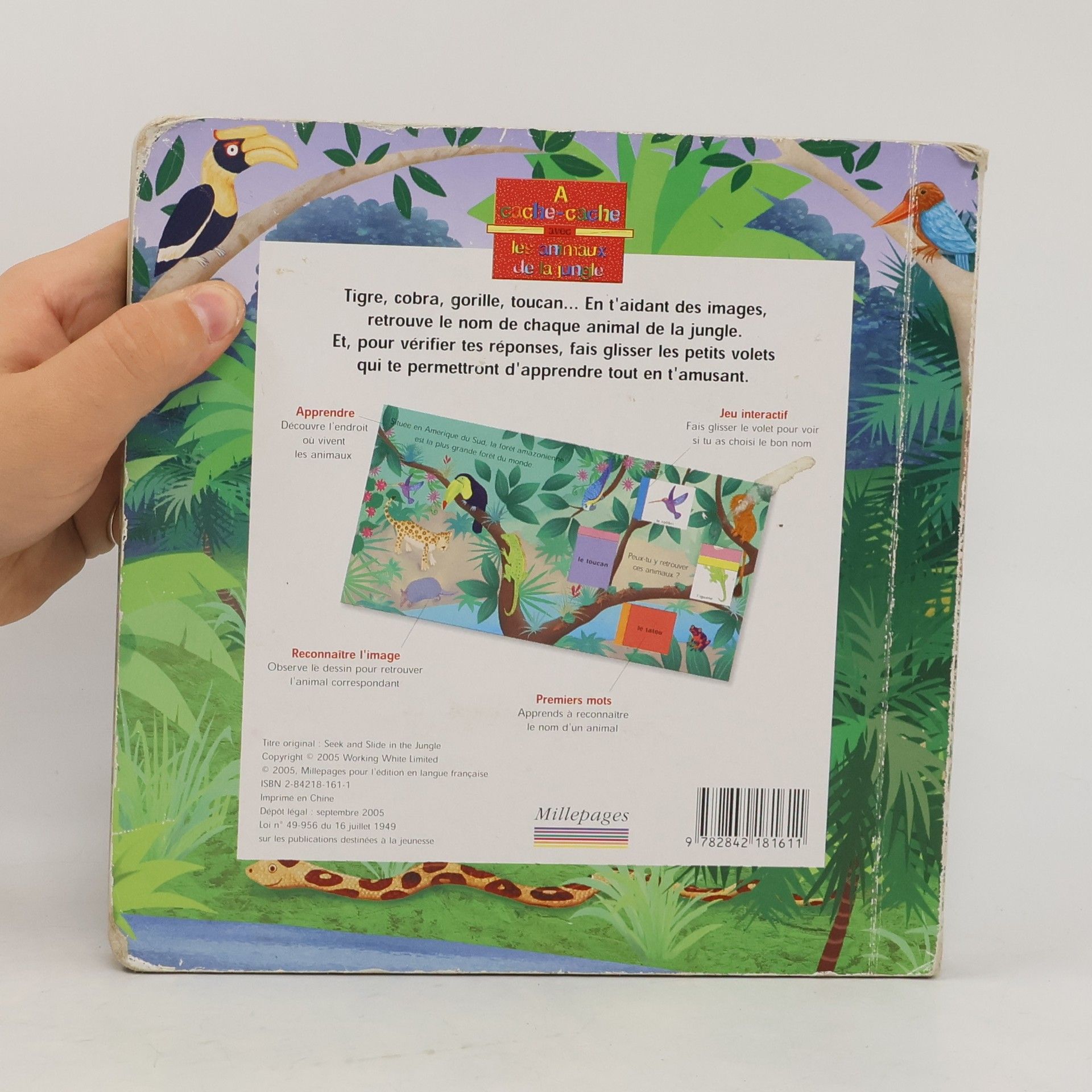 Autorenkollektiv A cache-cache avec les animaux de la jungle