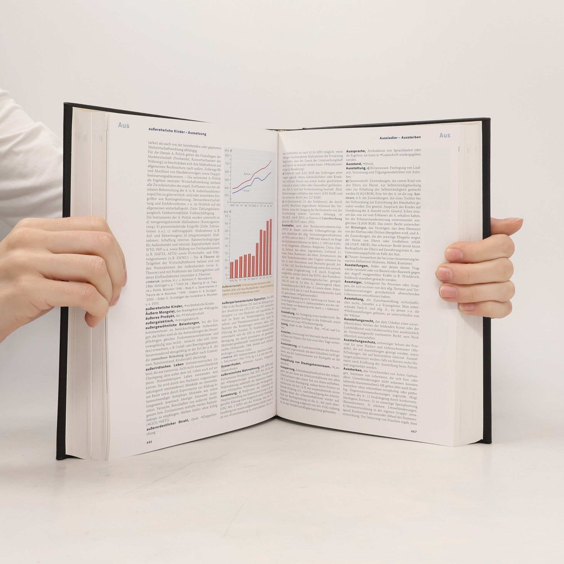 Kolektiv autorů Brockhaus A-Z Wissen 1