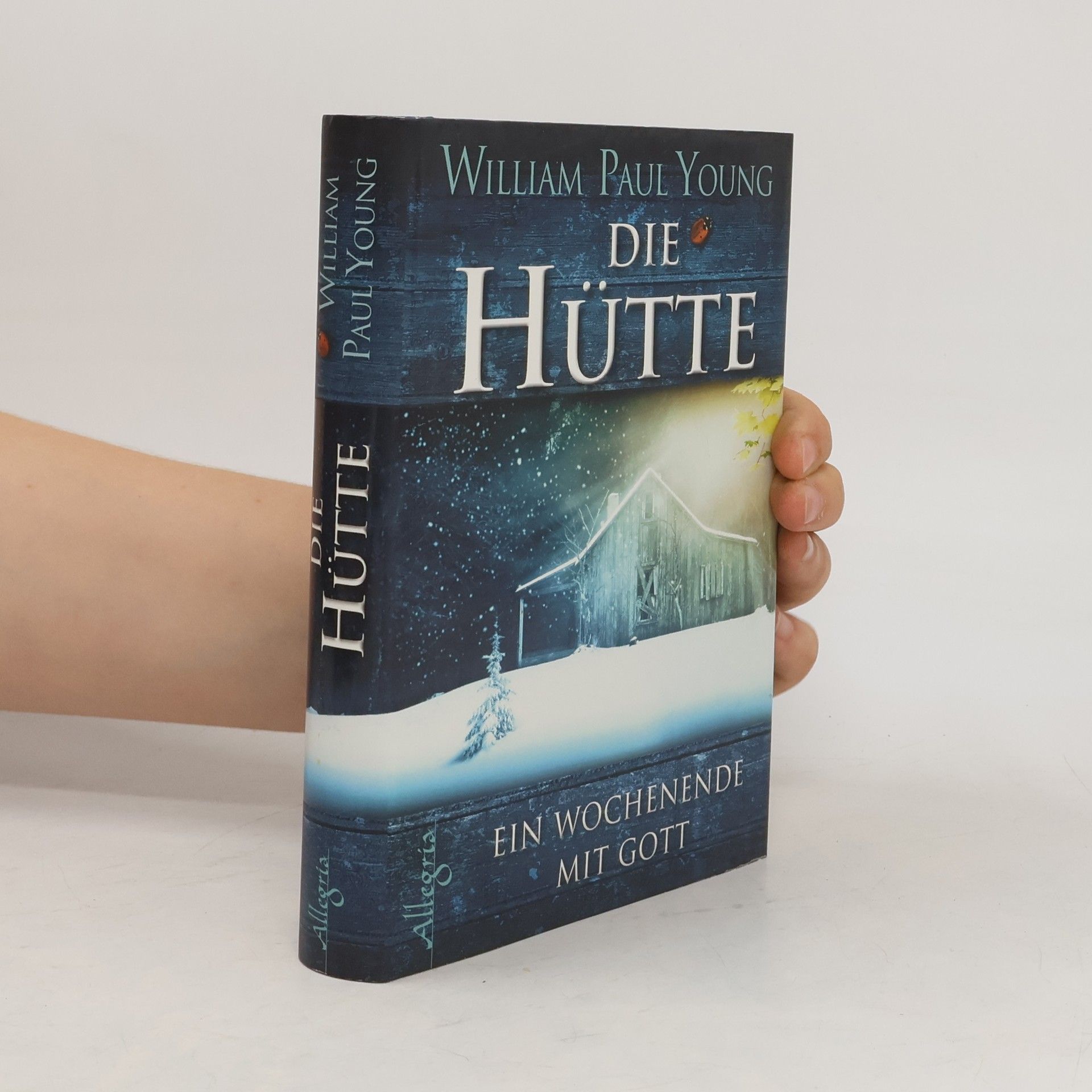 William P. Young Die Hütte