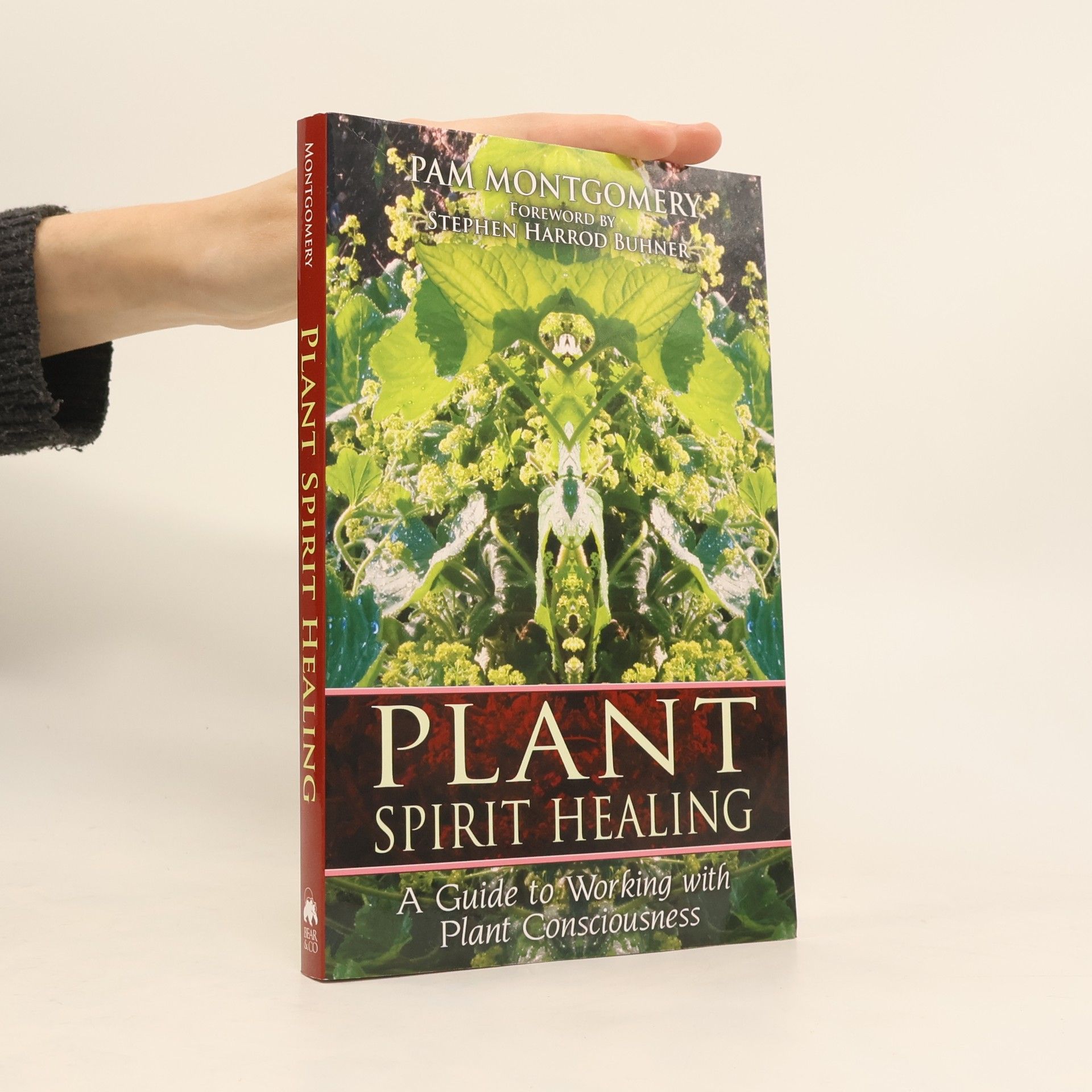 Pam Montgomery Plant Spirit Healing