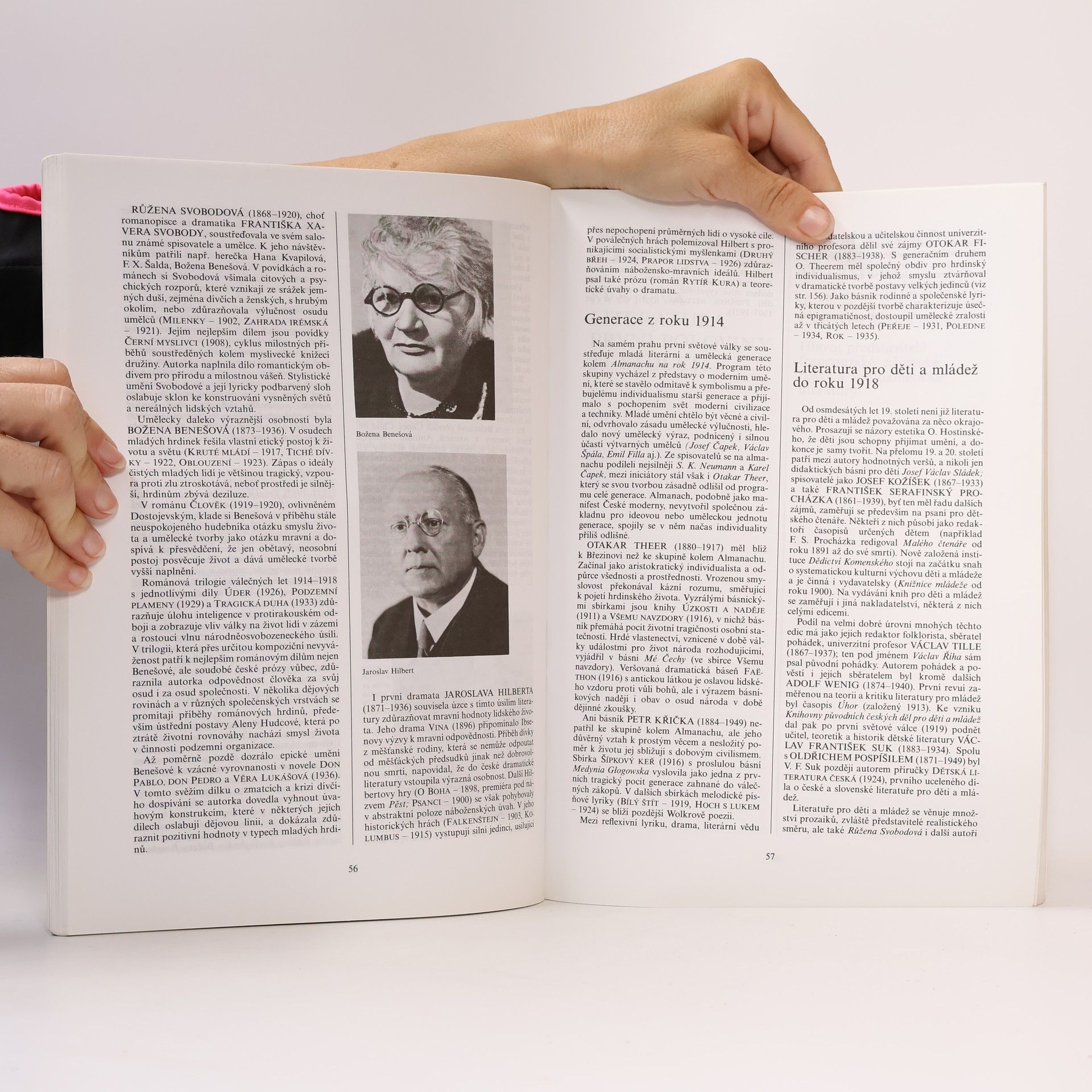 Bohuš Balajka Přehledné dějiny literatury II