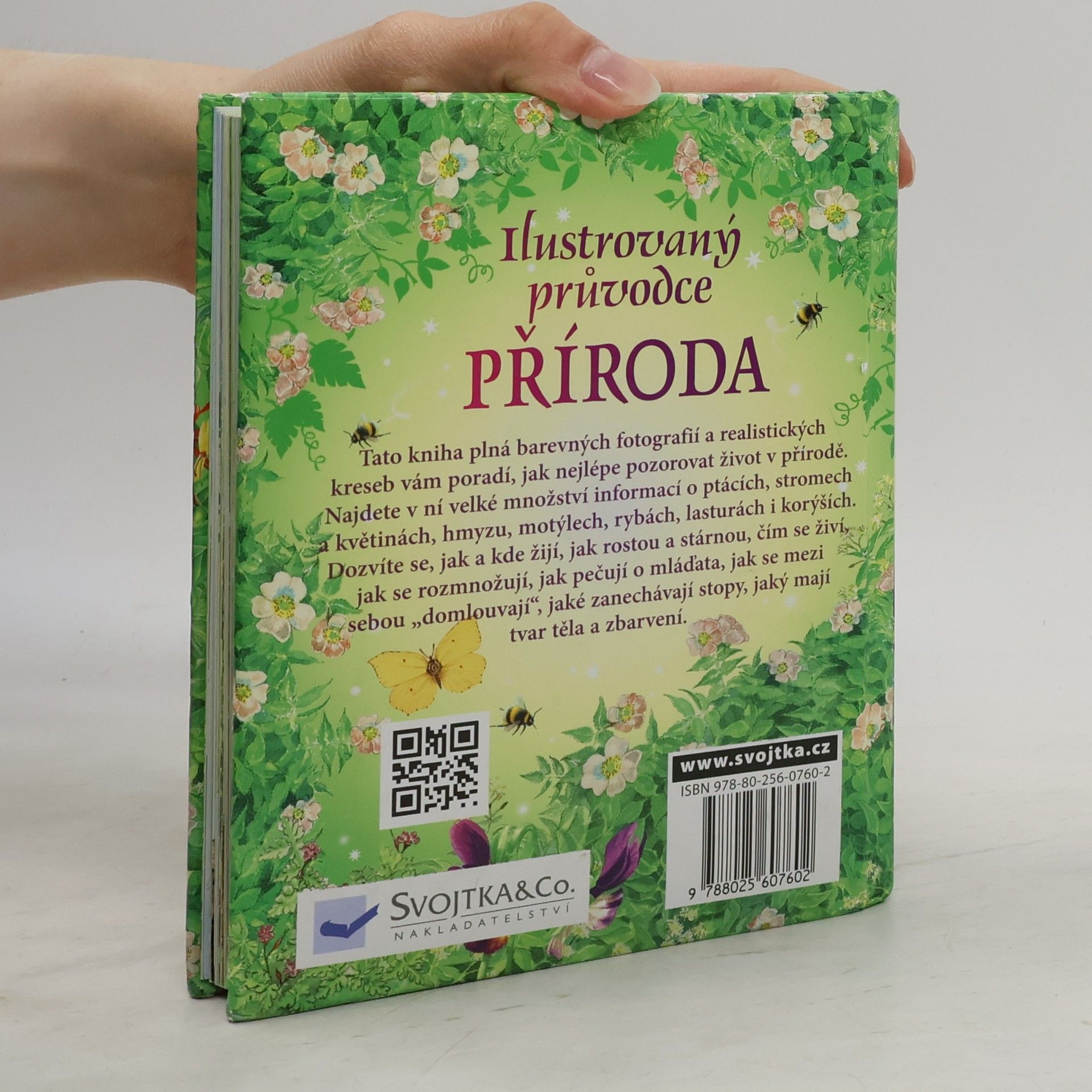 Phillip Clarke Příroda : ilustrovaný průvodce