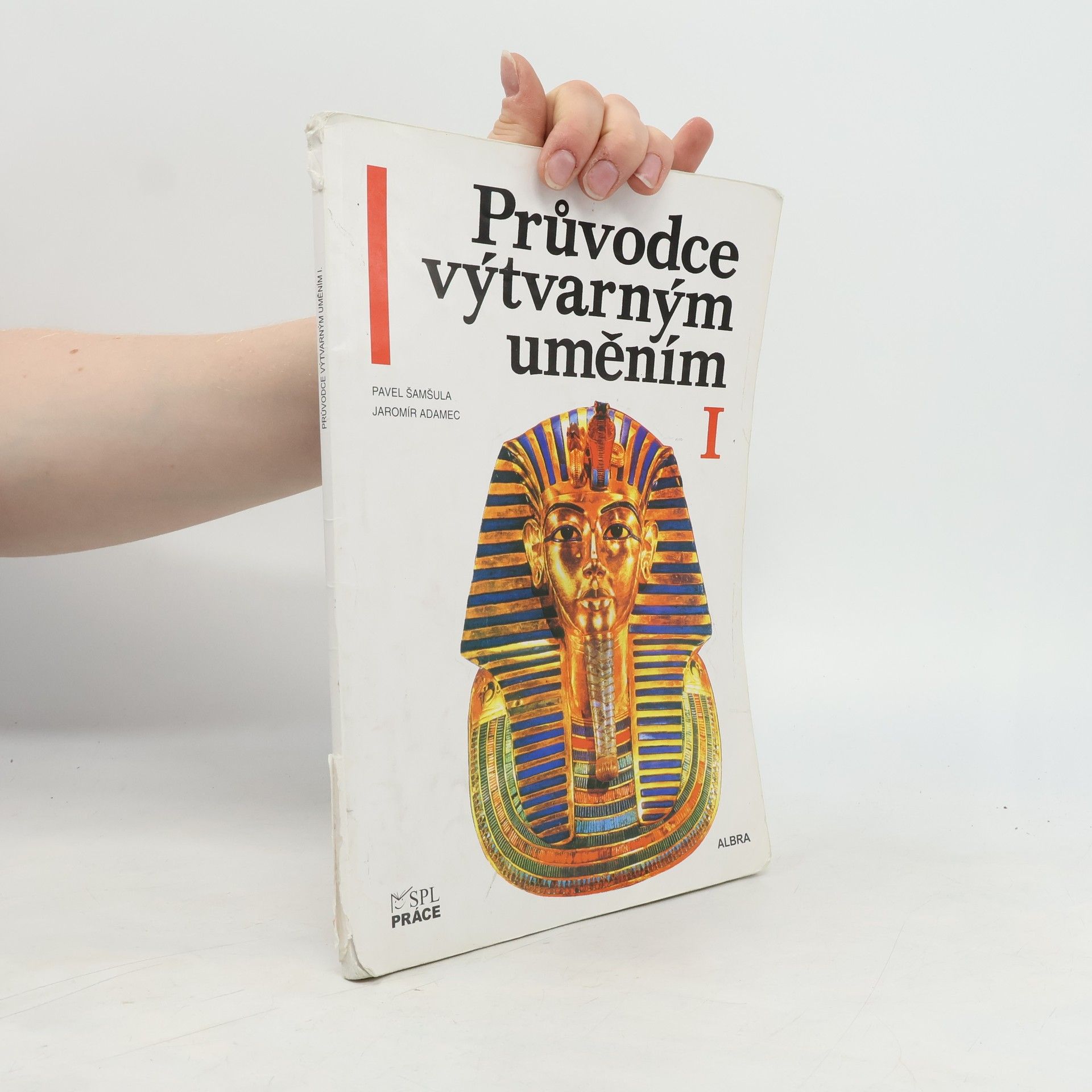 Pavel Šamšula Průvodce výtvarným uměním (1. díl)