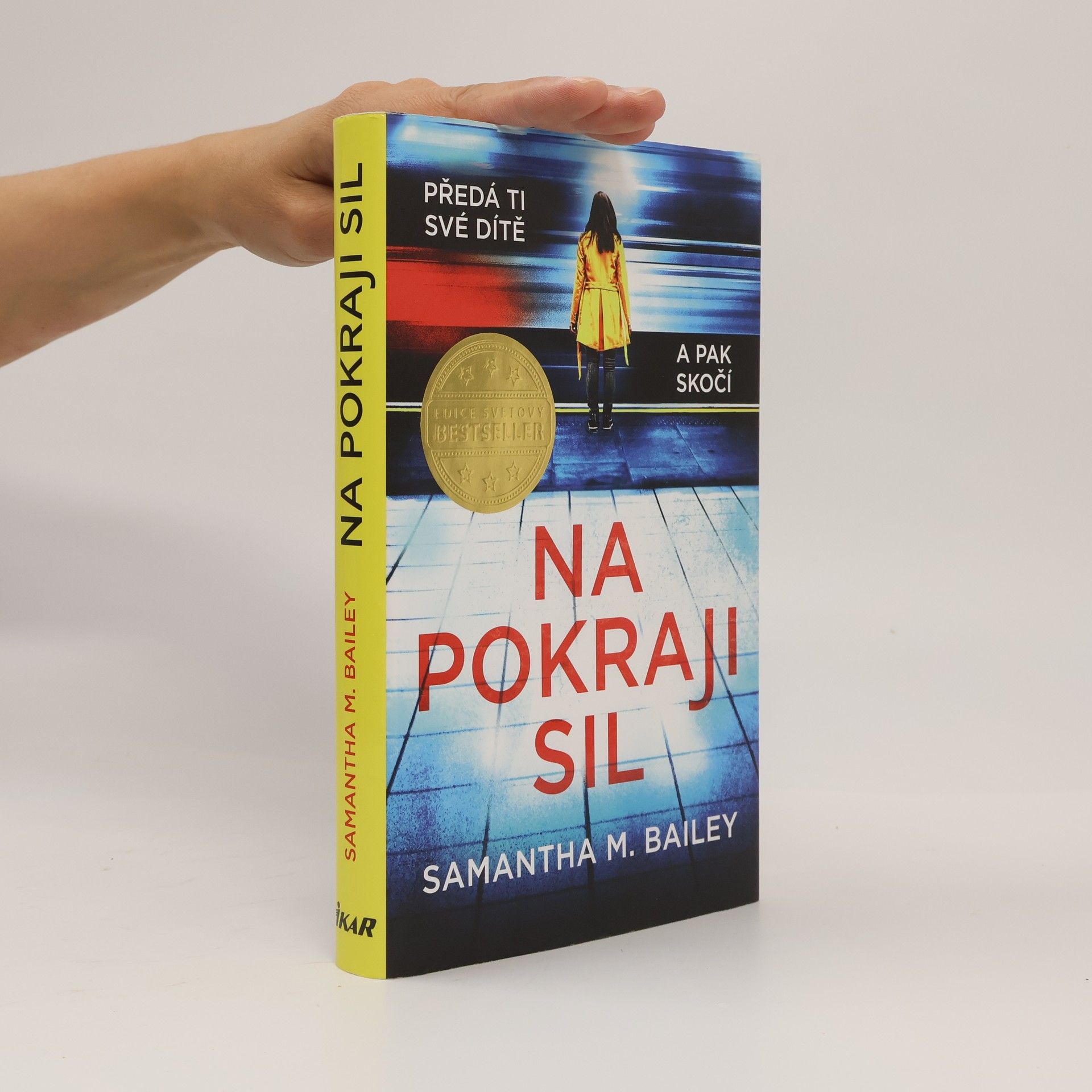 Samantha M. Bailey Na pokraji sil