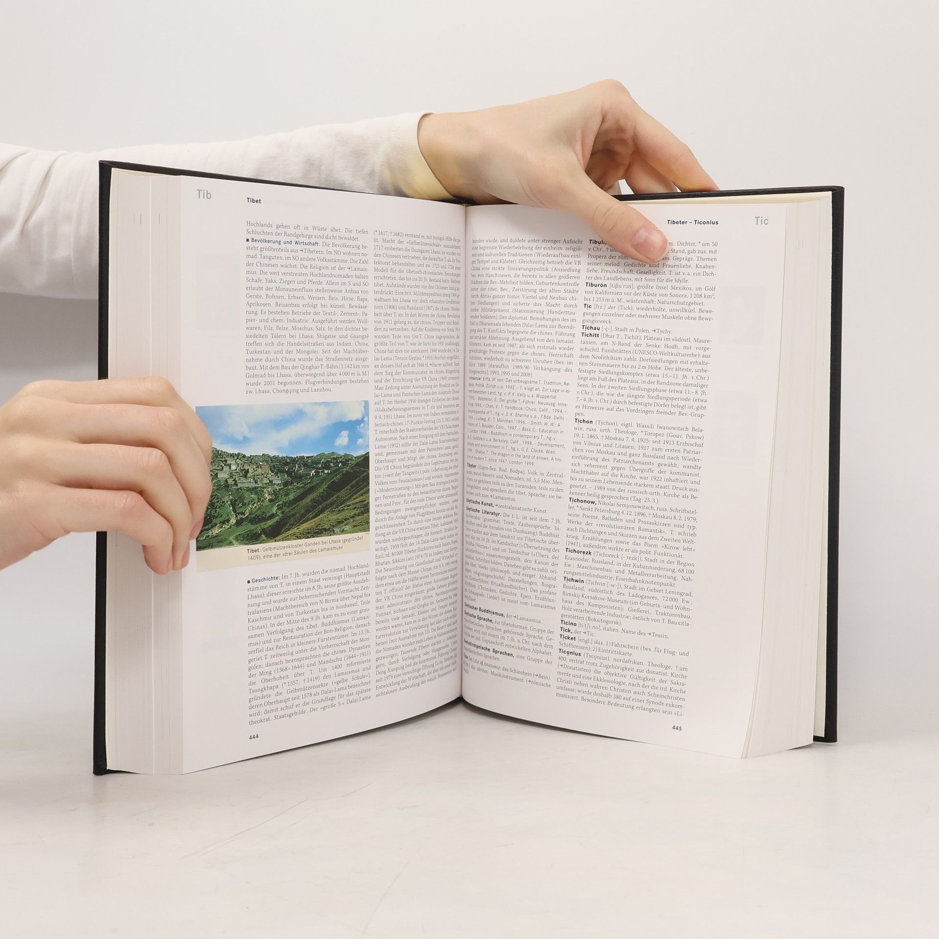 Kolektiv autorů Brockhaus. A-Z Wissen 10