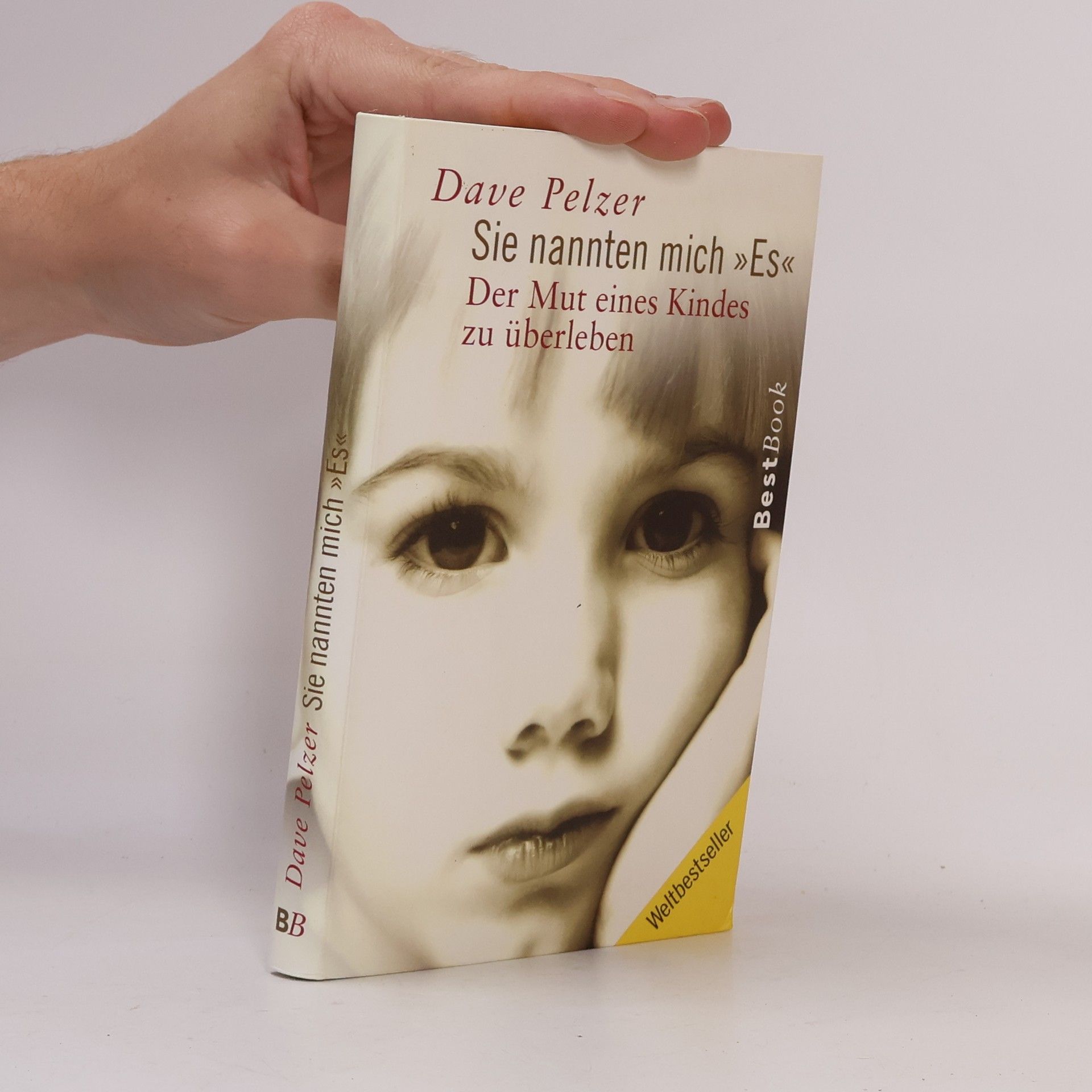 Dave Pelzer Sie nannten mich "Es"