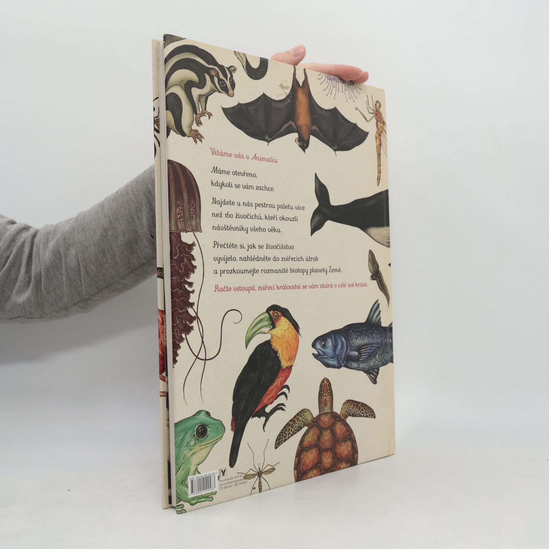 Katie Scott Animalium