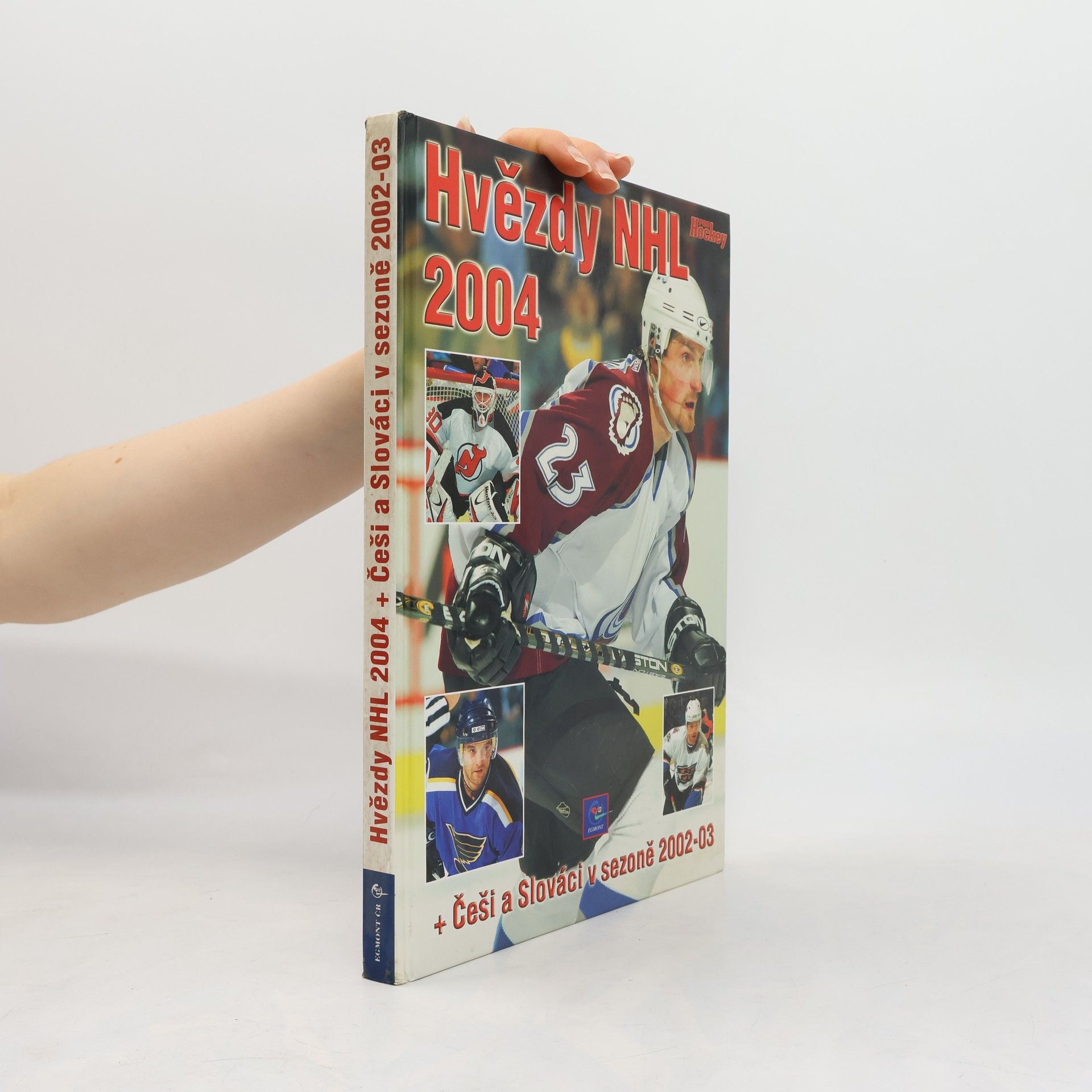 Autorenkollektiv Hvězdy NHL 2004
