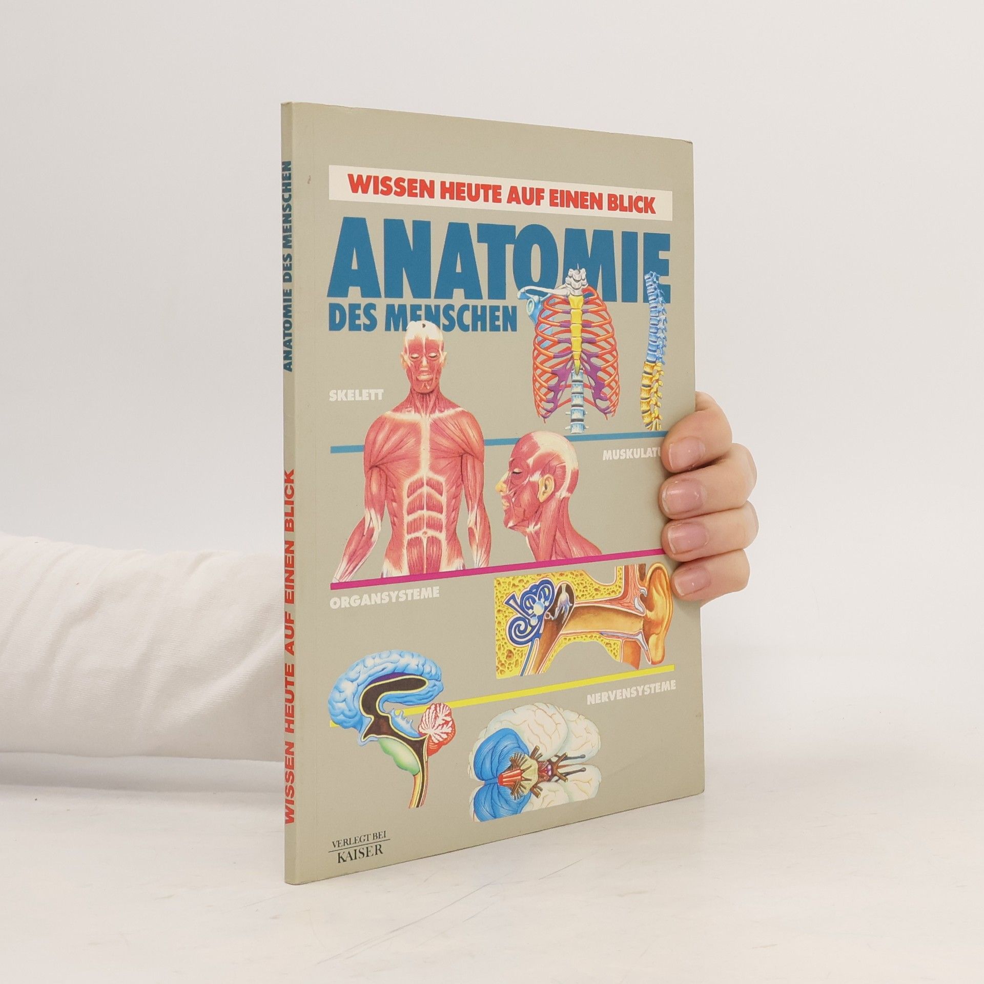 Autorenkollektiv Anatomie des menschen