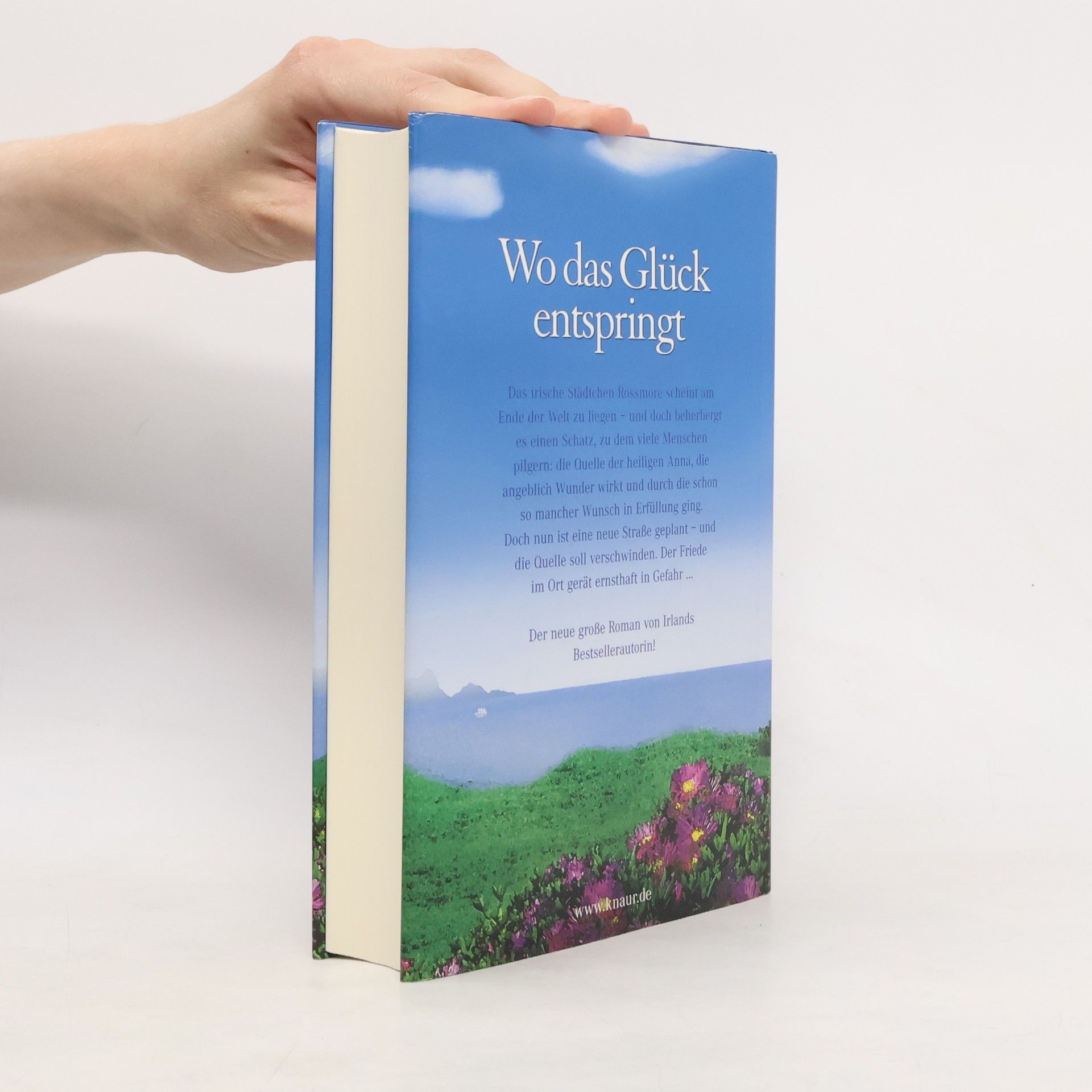 Maeve Binchy Straße ins Glück