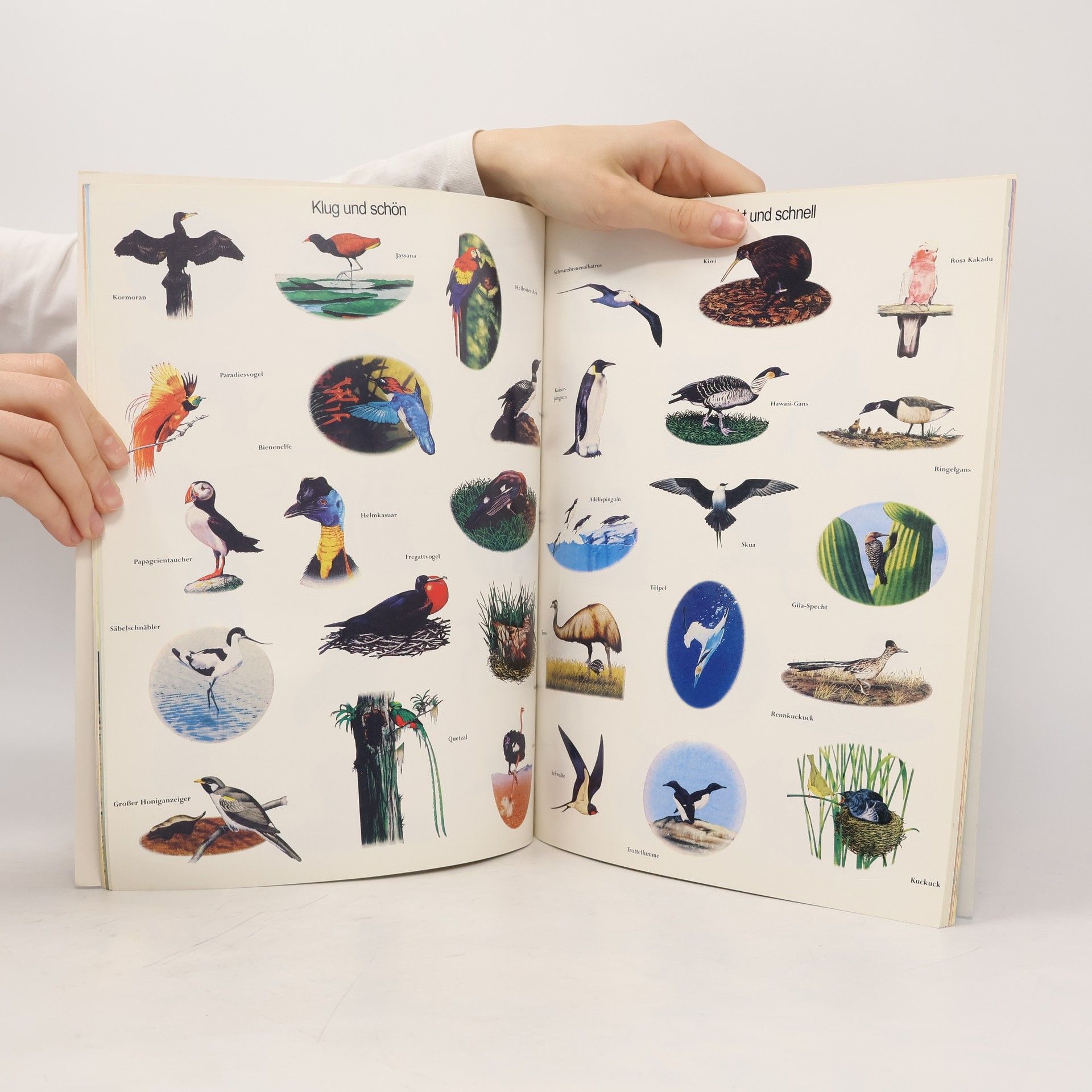 Autorenkollektiv Das Sticker-Buch. Unsere Welt