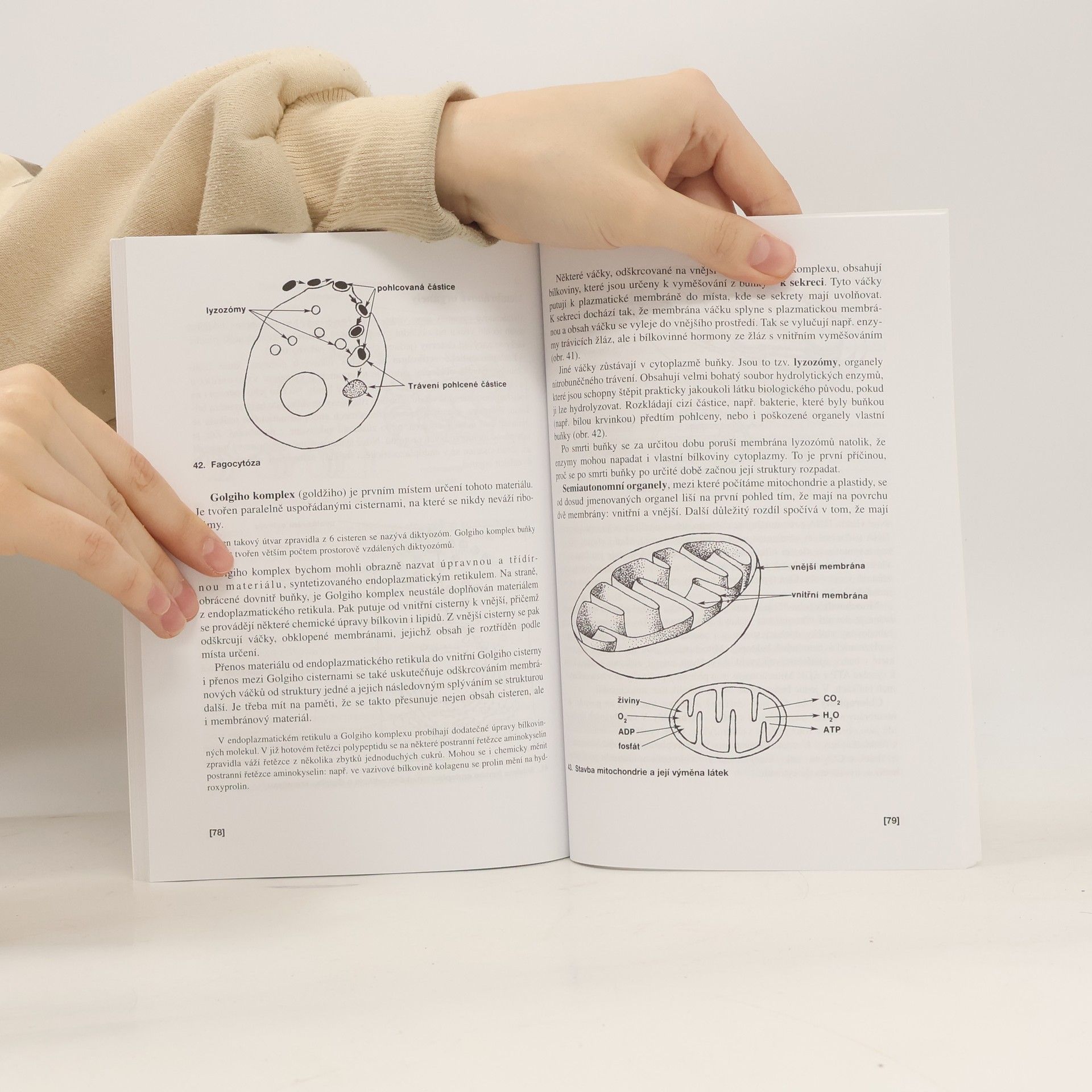Václav Kubišta Obecná biologie. Úvodní učební text biologie pro 1. ročník gymnázií