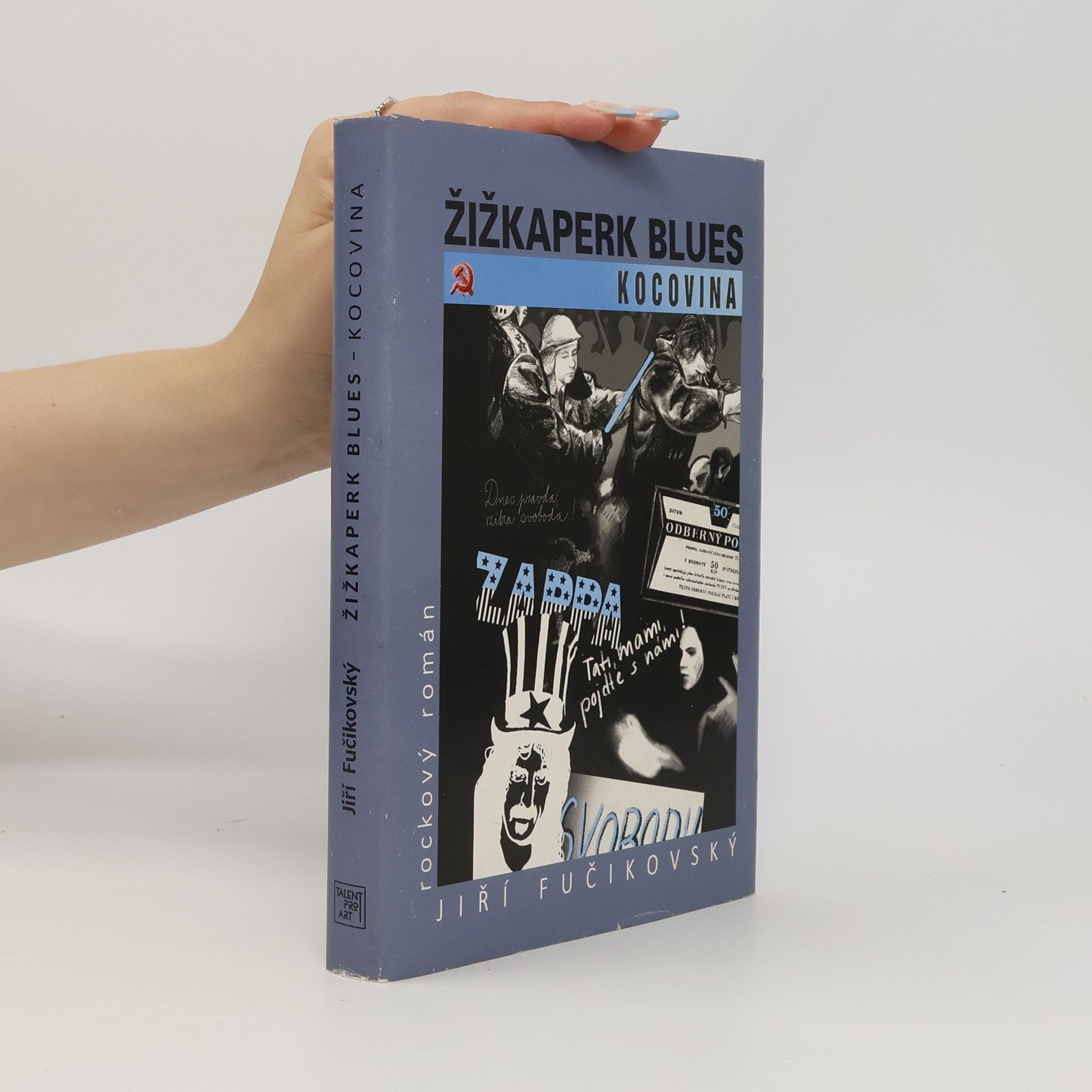 Jiří Fučikovský Žižkaperk blues 3 - Kocovina