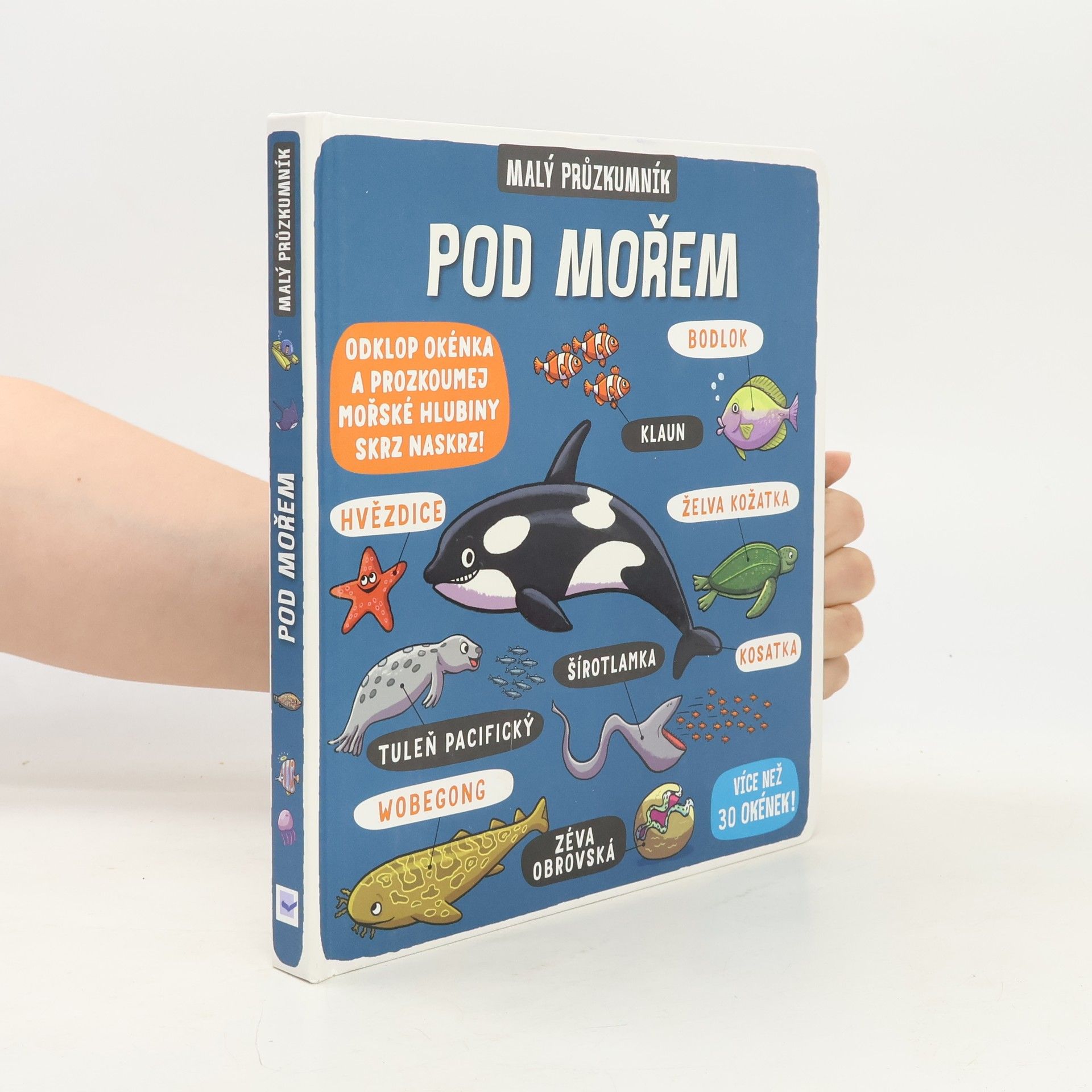 Kolektiv autorů Pod mořem