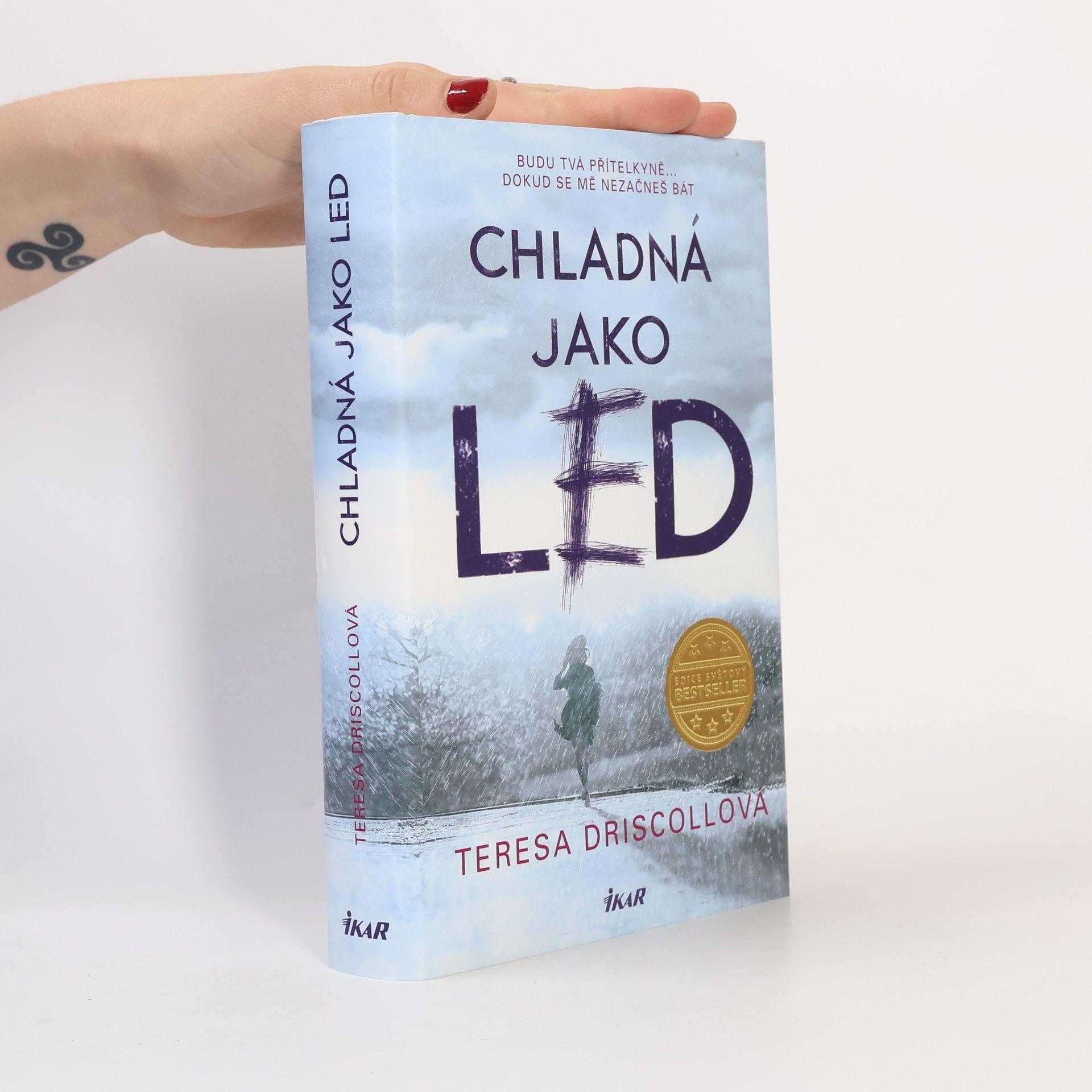Teresa Driscoll Chladná jako led