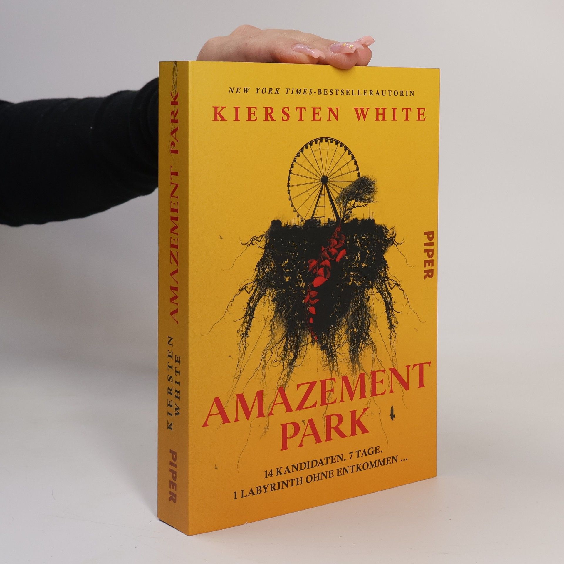 Kiersten White Amazement Park