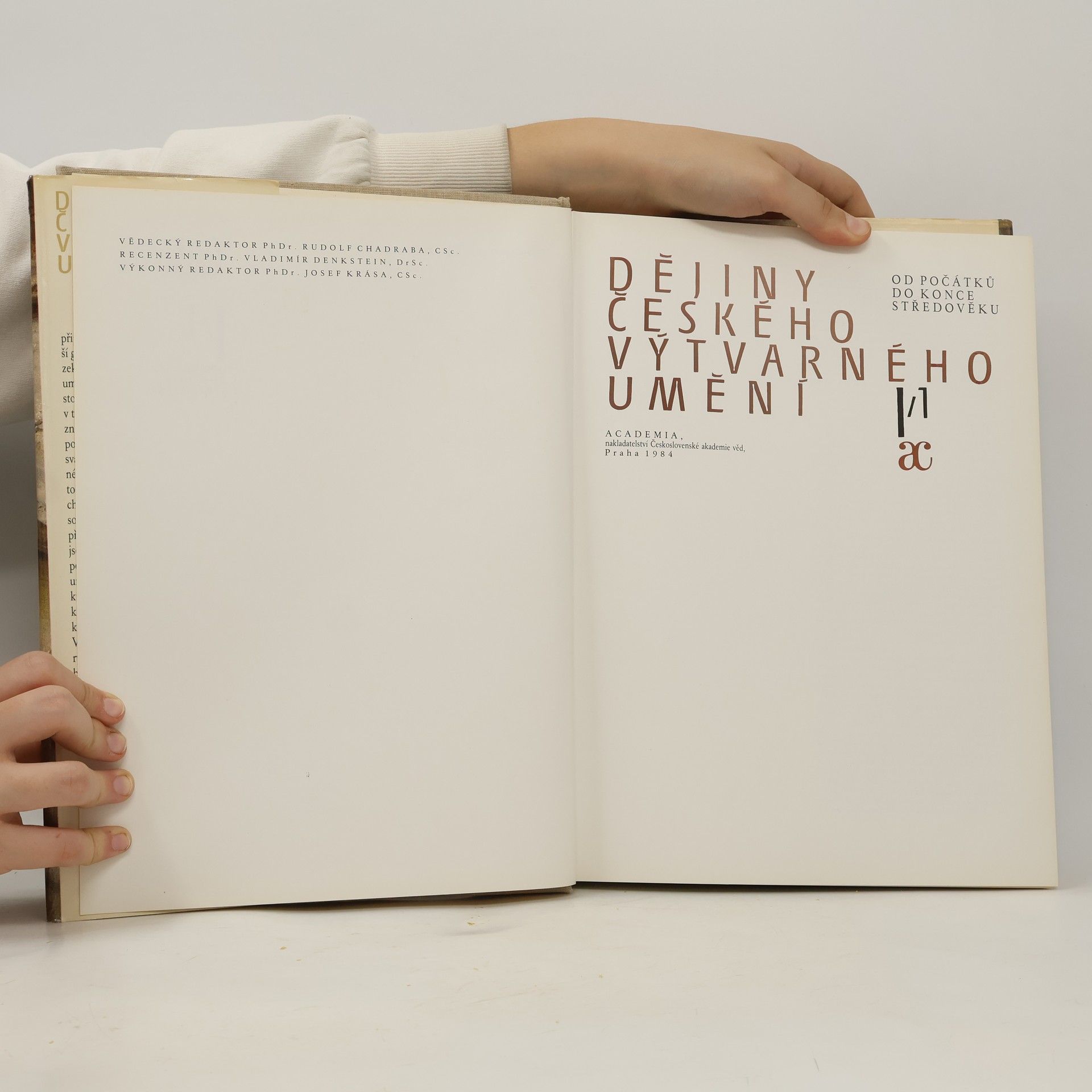 Various authors Dějiny českého výtvarného umění I/1