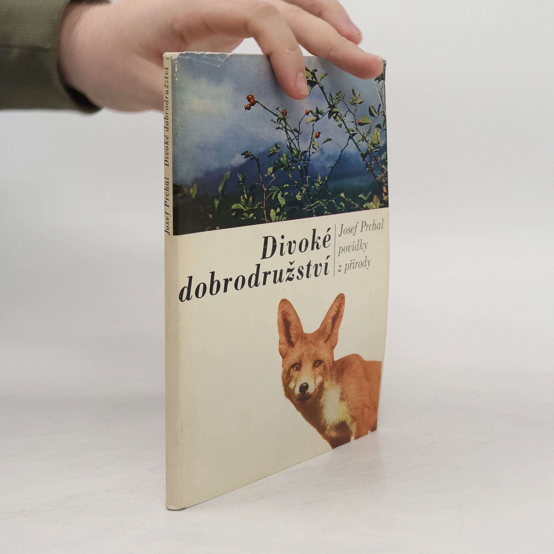 Josef Prchal Divoké dobrodružství