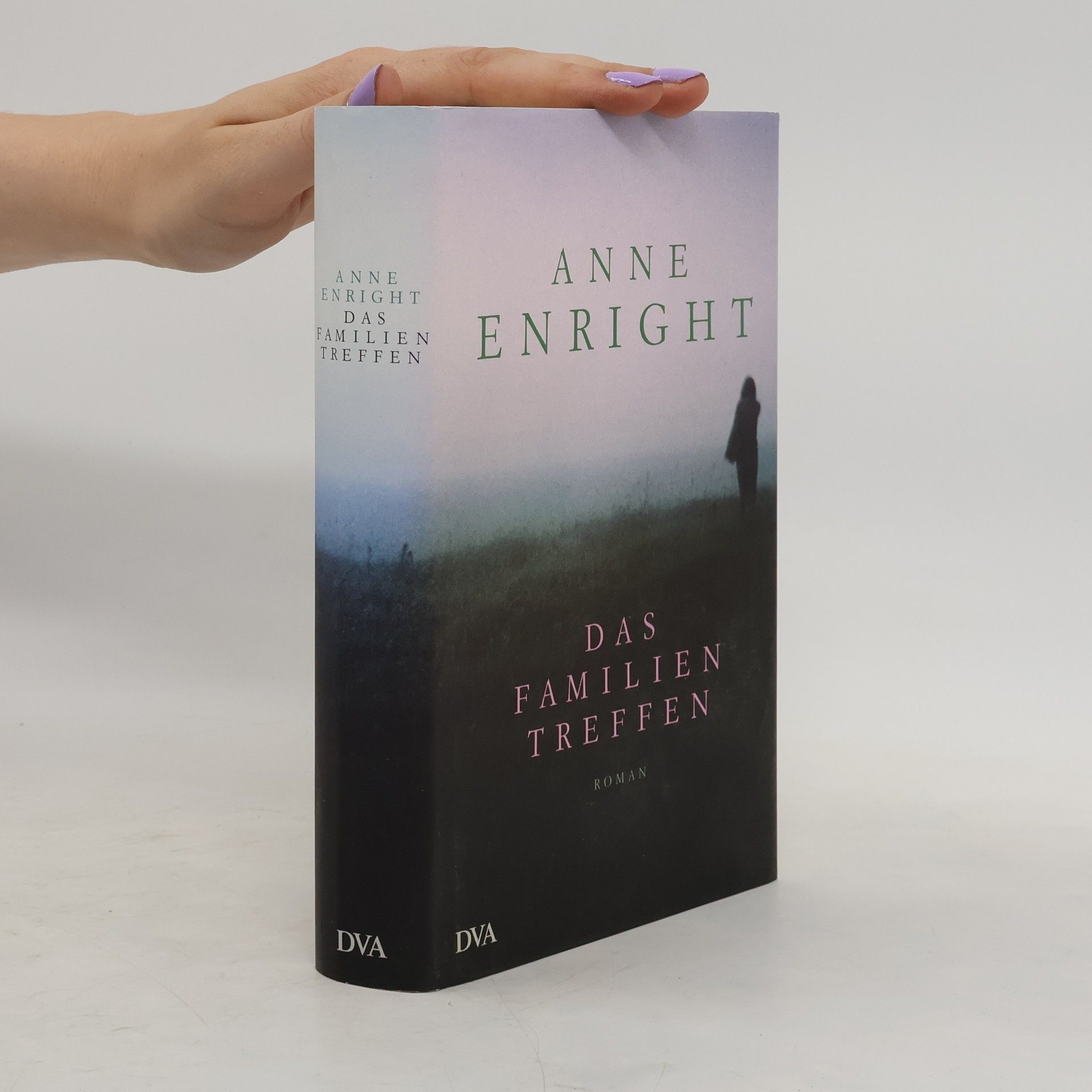 Anne Enright Das Familientreffen