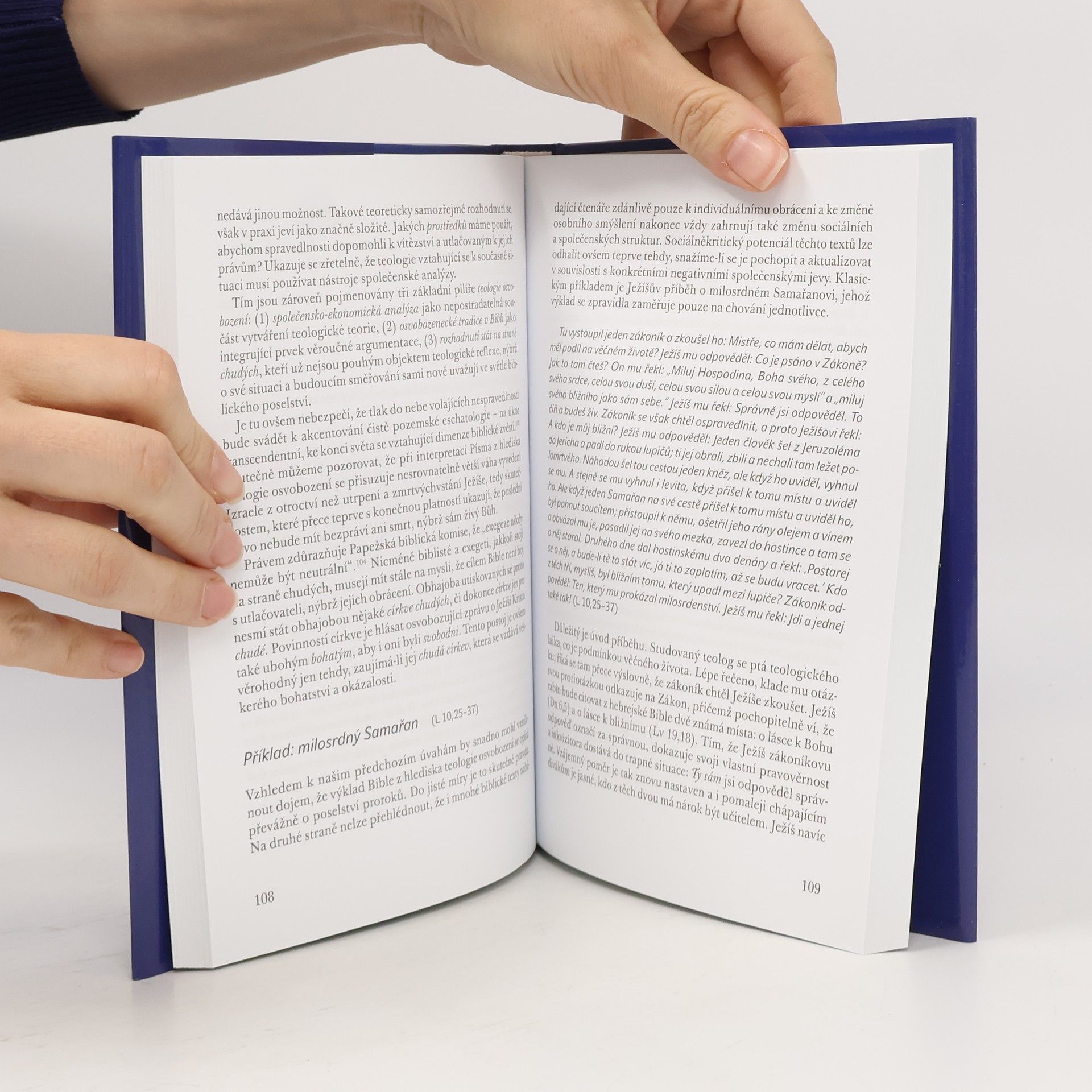 Josef Imbach Radost z Bible. Cesty k hlubšímu porozumění Sv. Písmu
