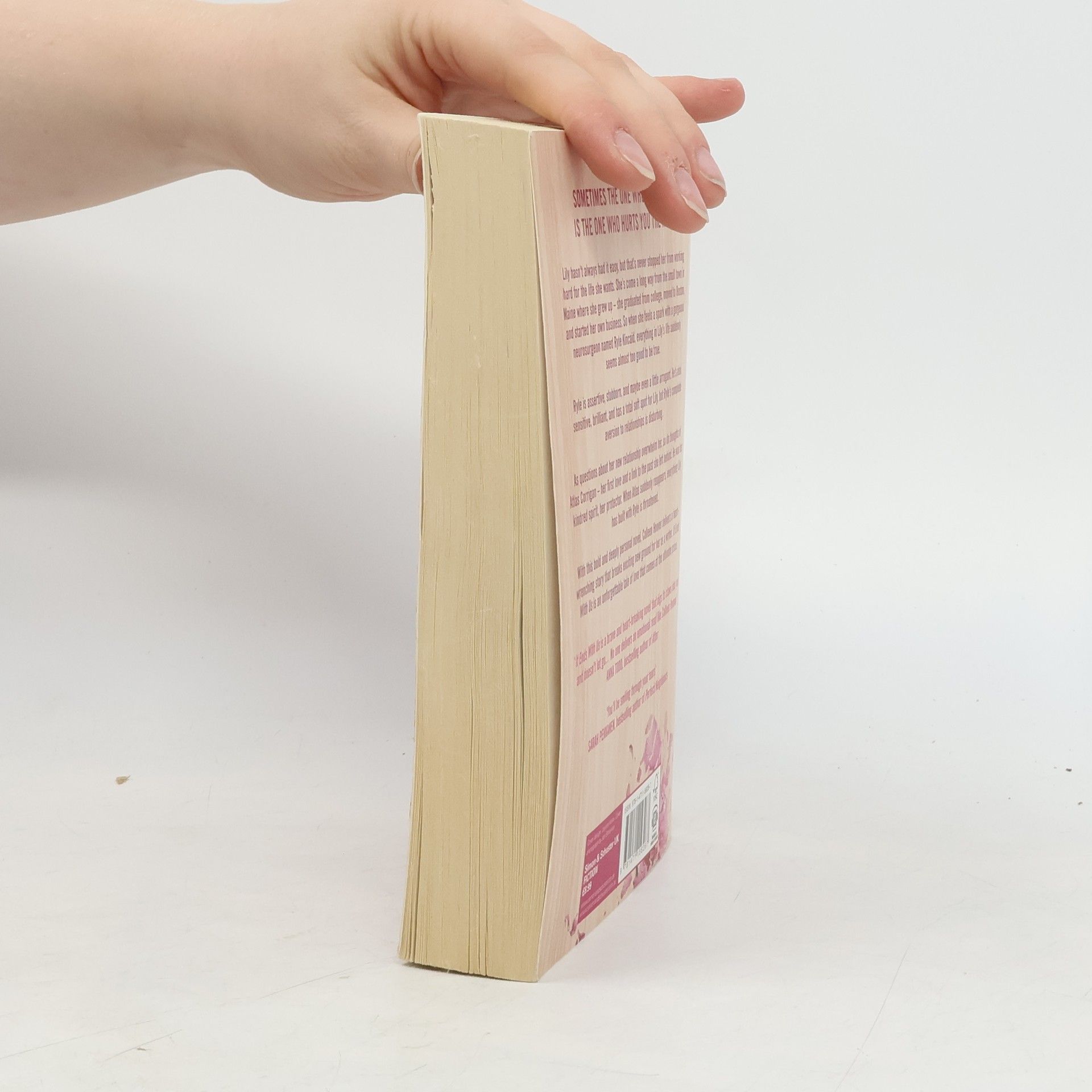 Colleen Hoover It Ends With Us
