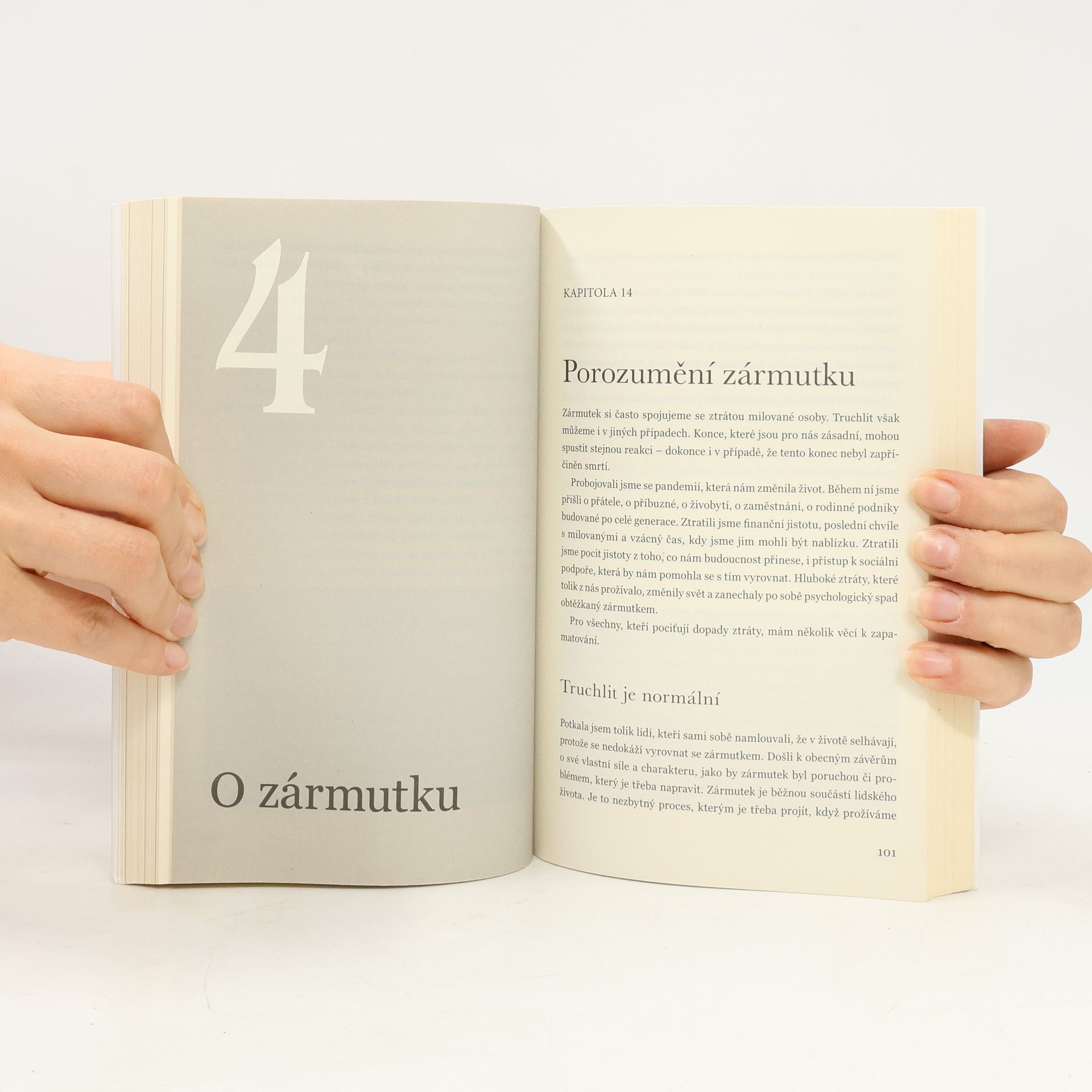 Julie Smith Proč mi tohle nikdo neřekl dřív?