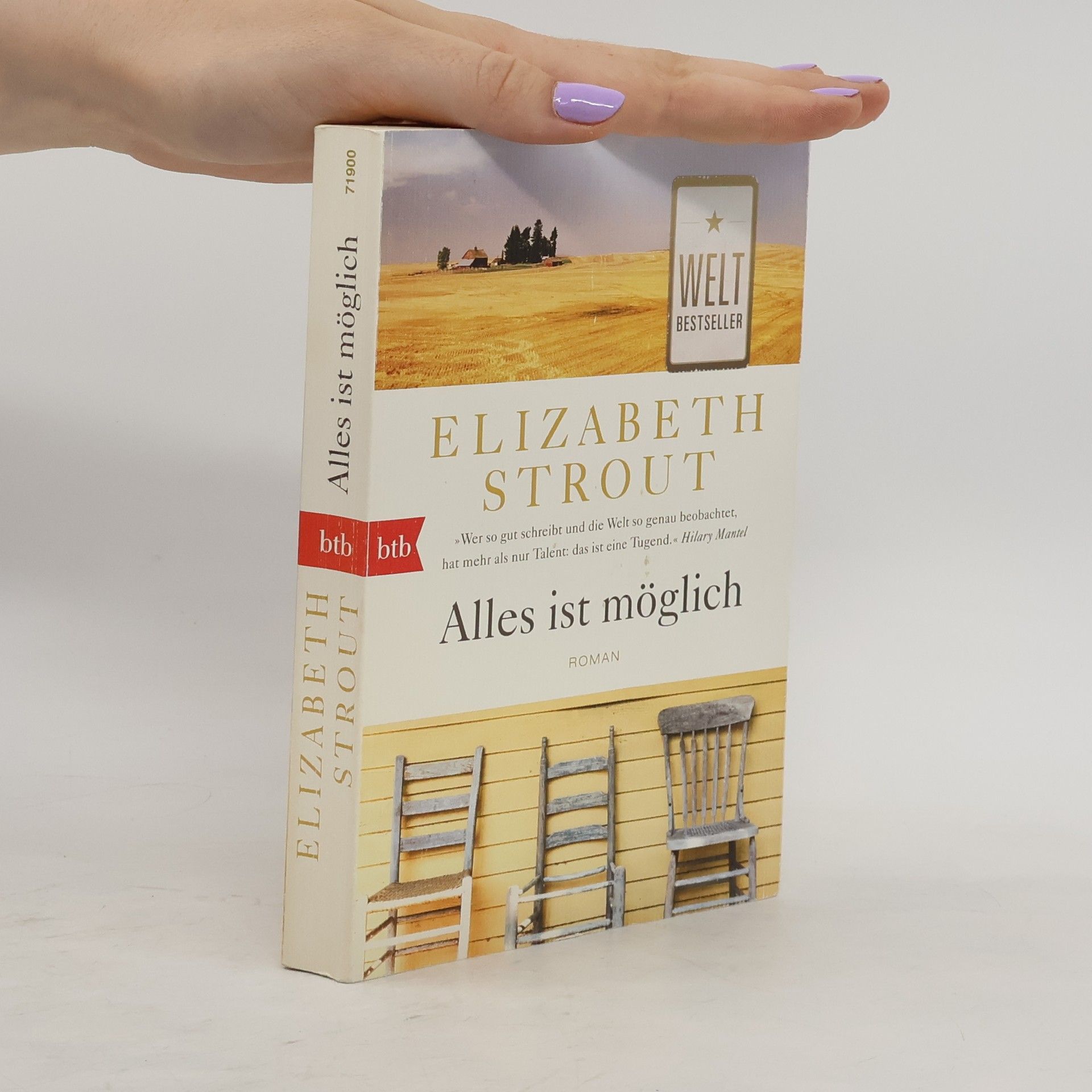Elizabeth Strout Alles ist möglich