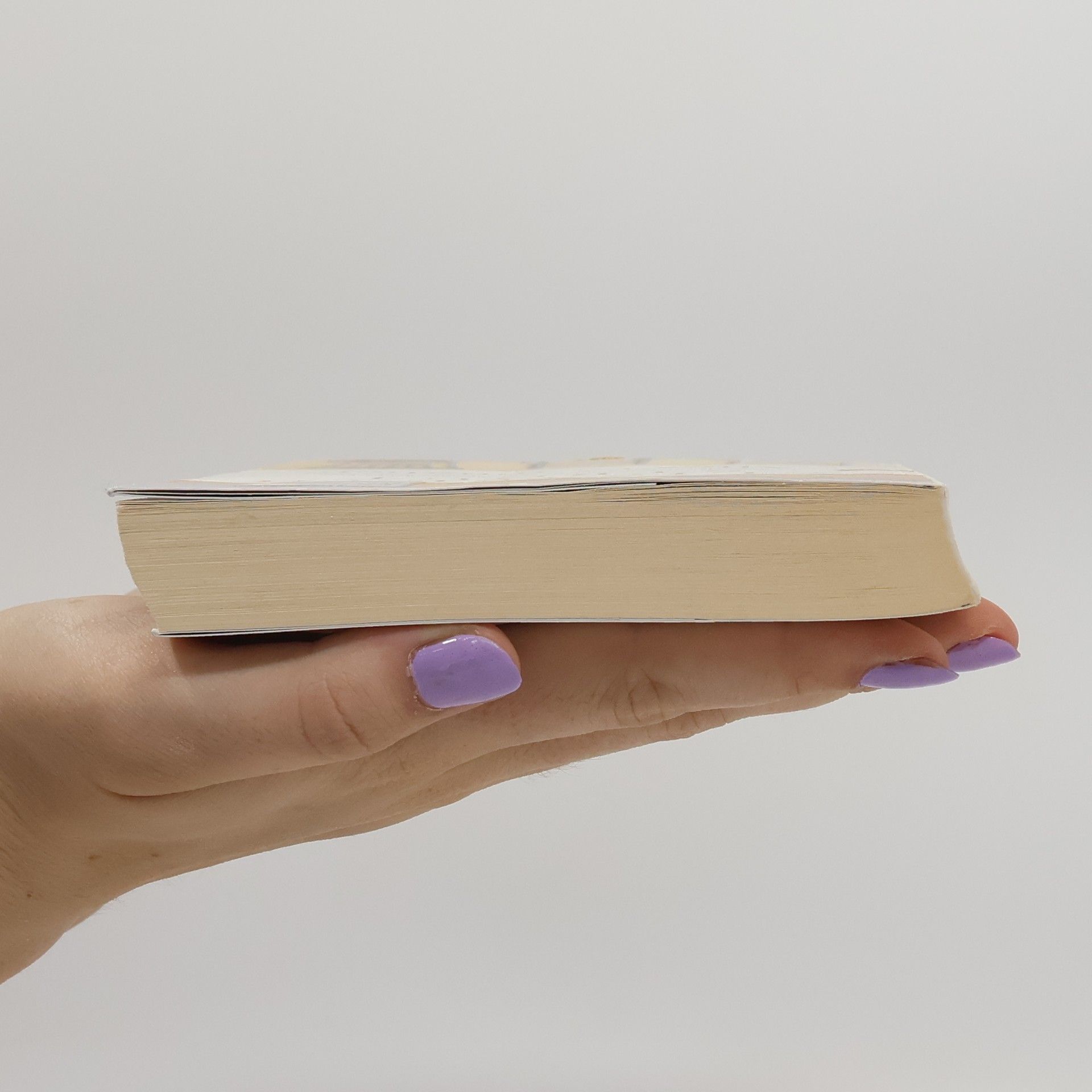 Elizabeth Strout Alles ist möglich