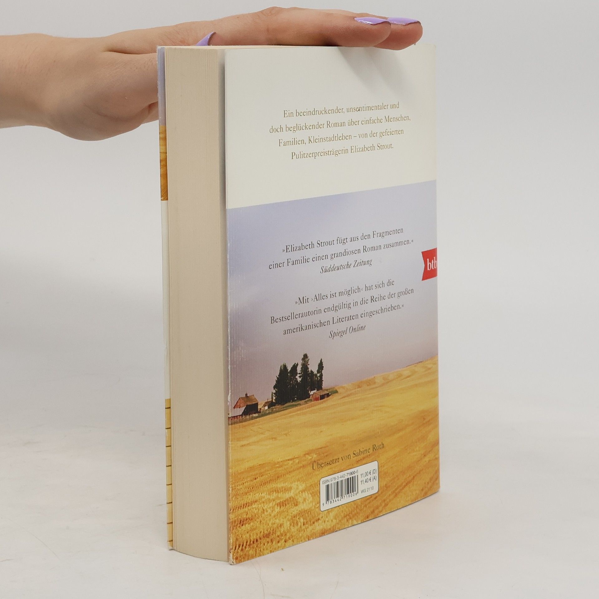 Elizabeth Strout Alles ist möglich